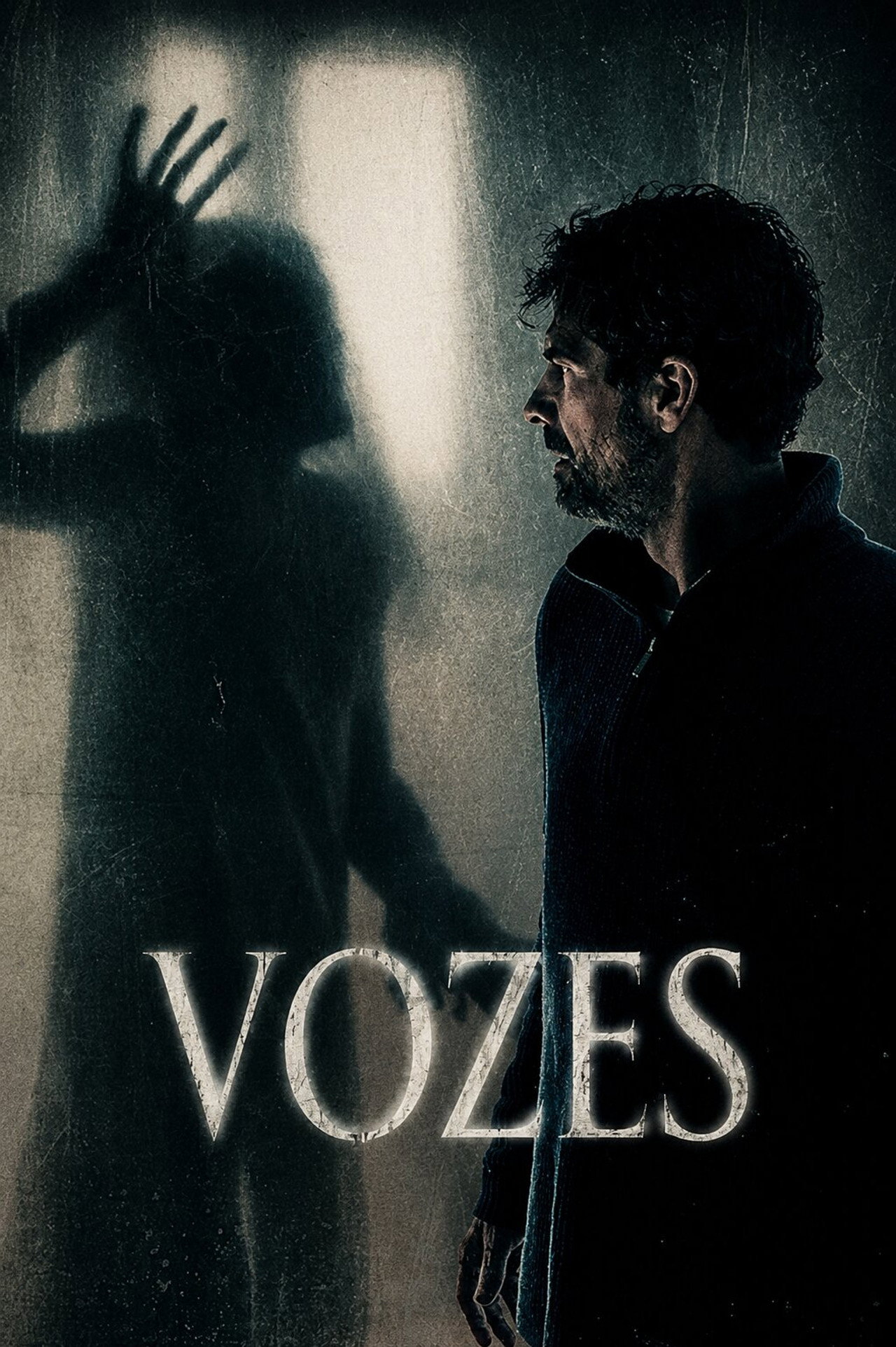 Pôster de Vozes