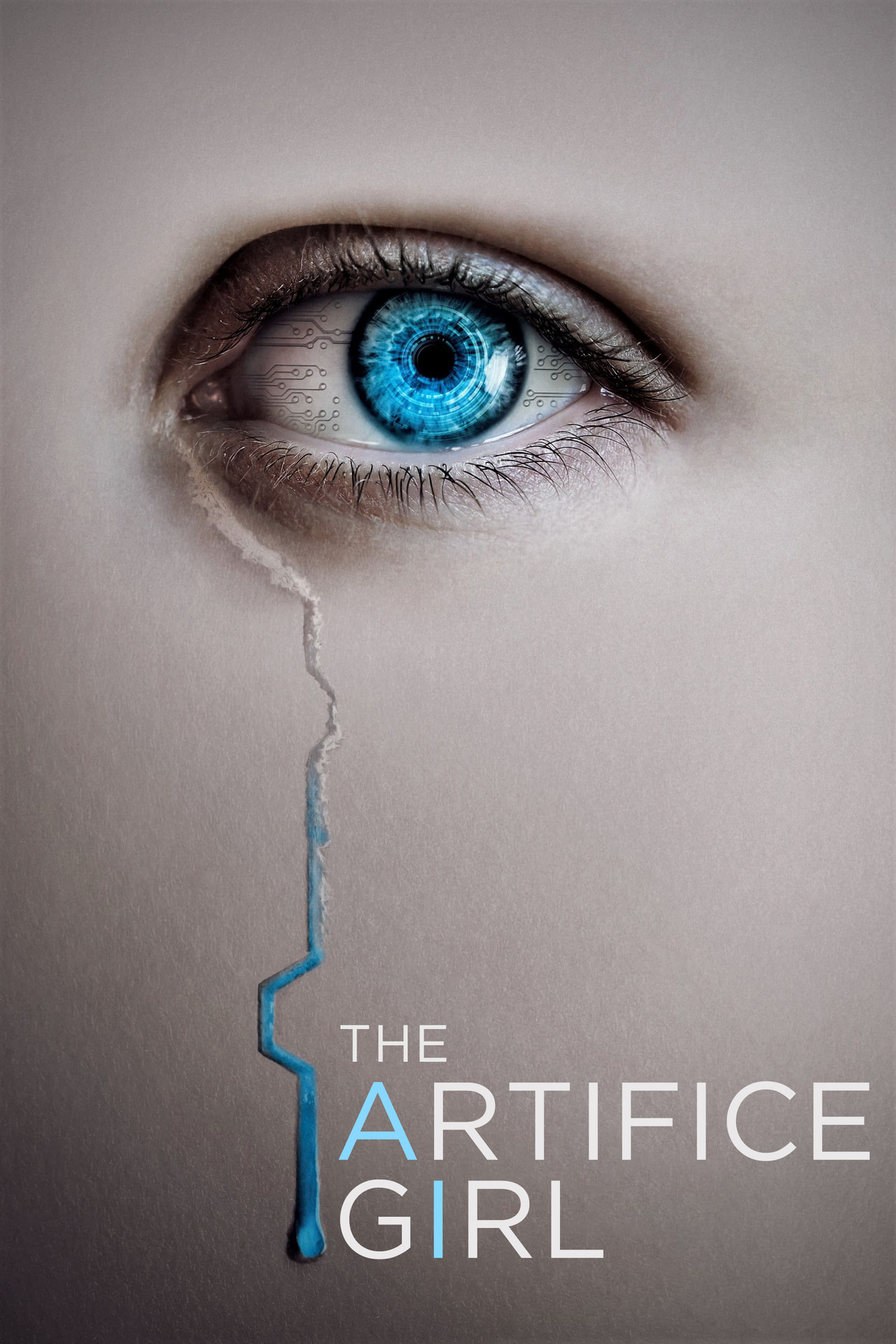 Pôster de The Artifice Girl