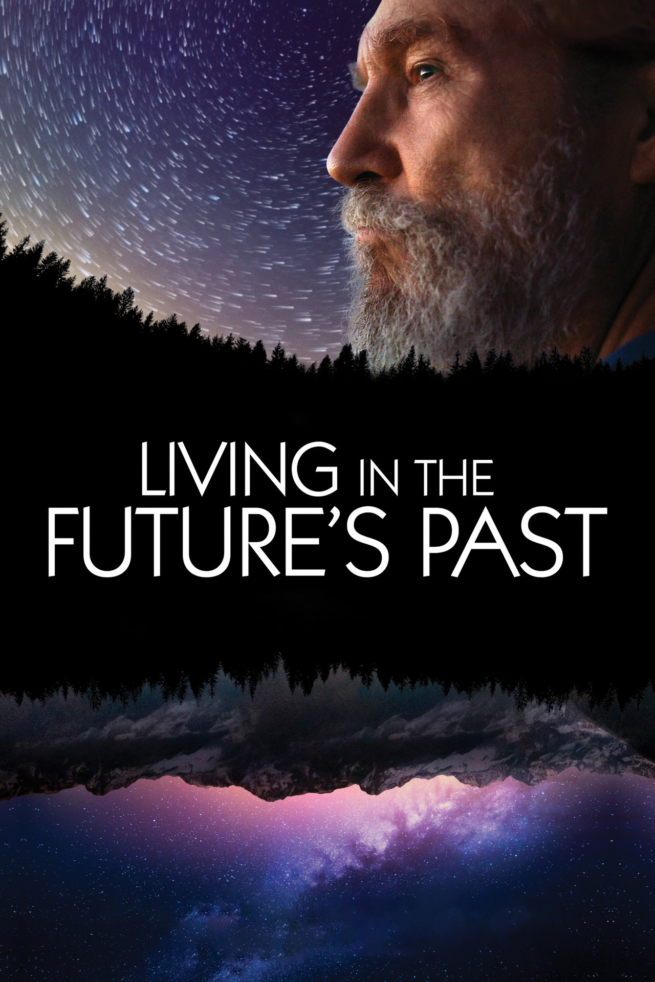 Pôster de Living in the Future's Past