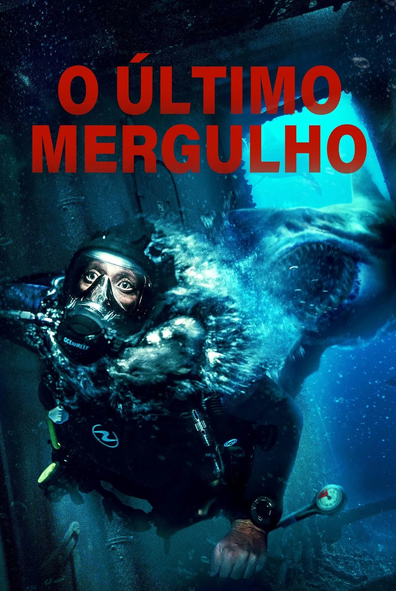 Pôster de O Último Mergulho