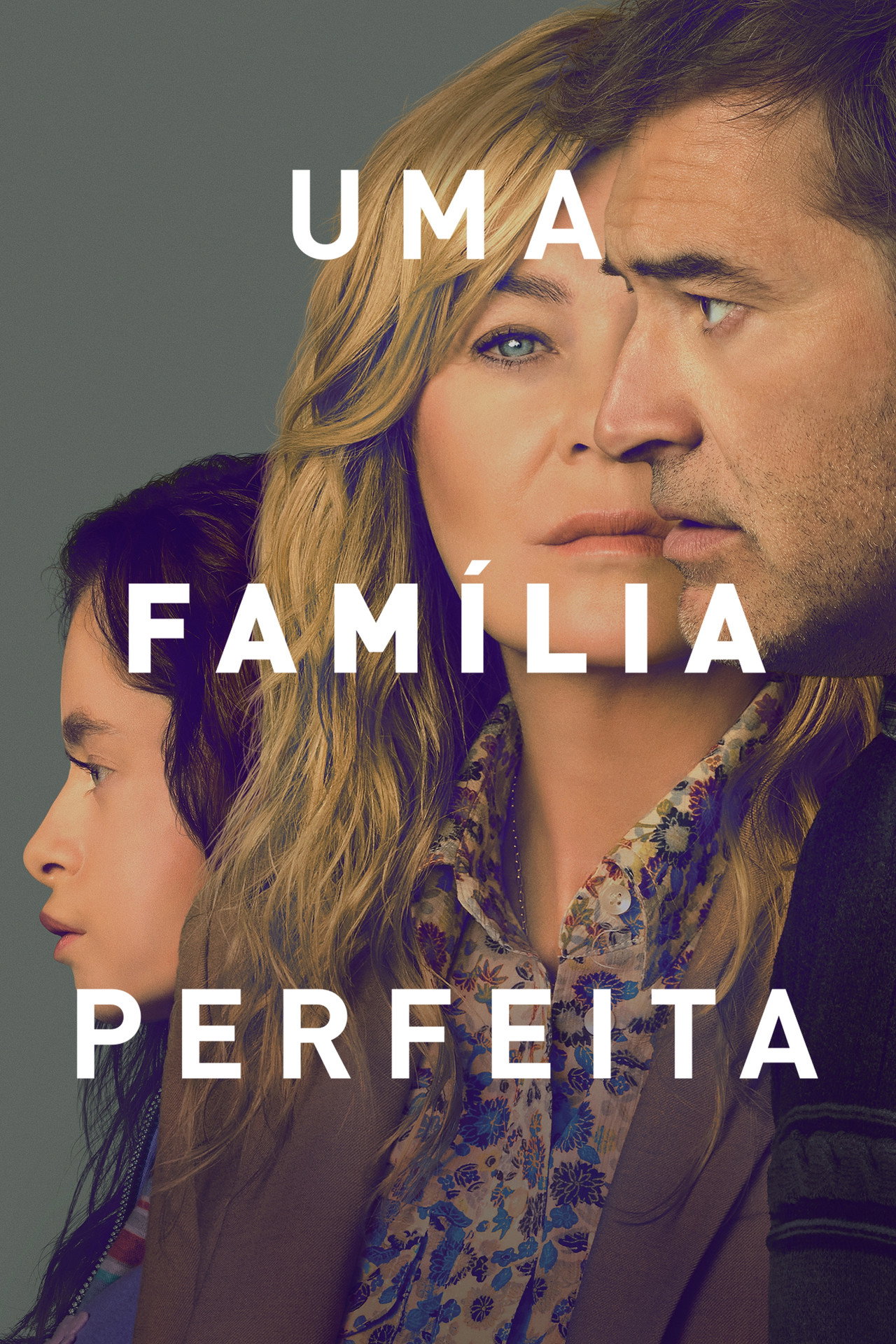 Pôster de Uma Família Perfeita