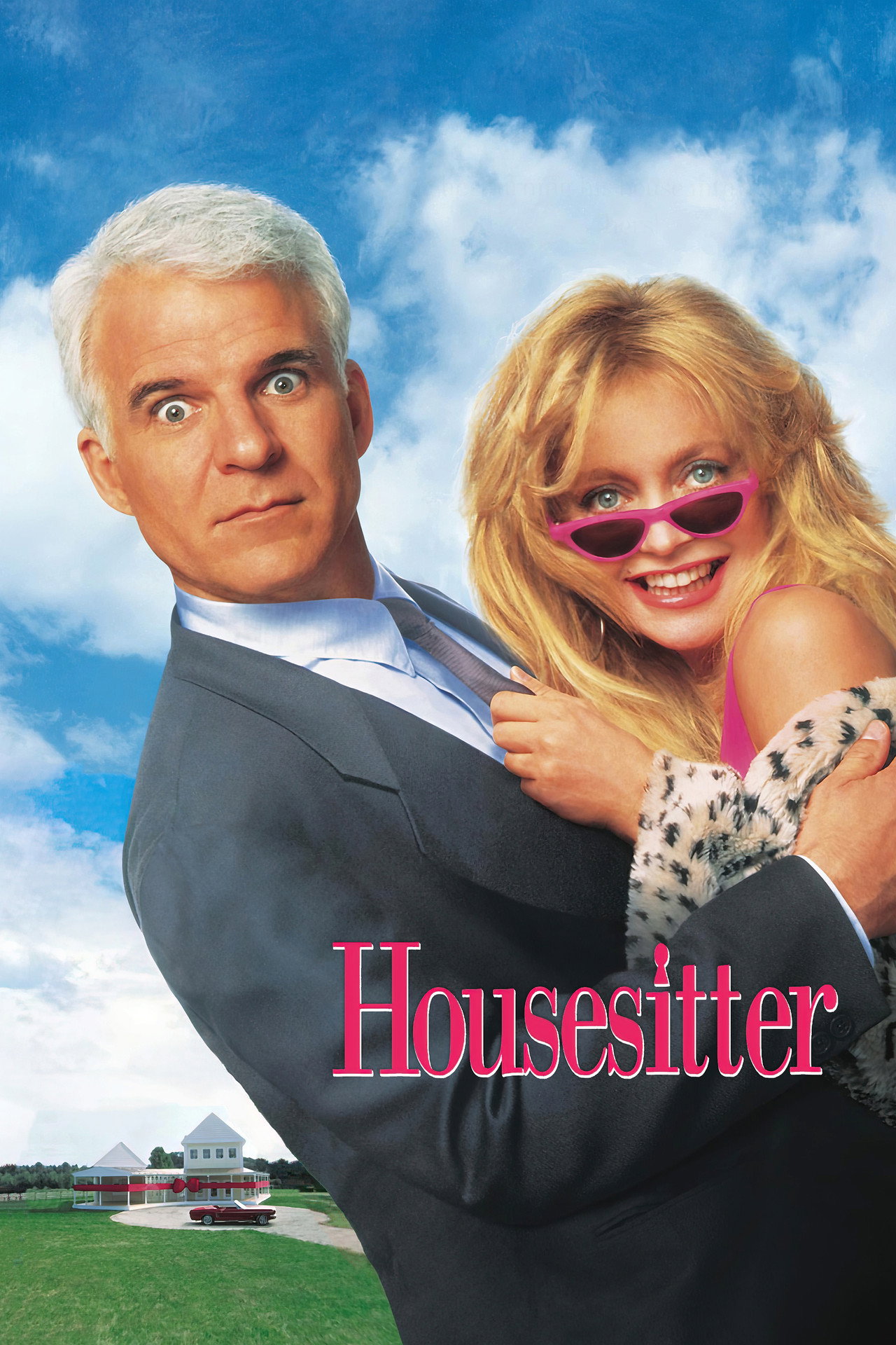 Pôster de Housesitter