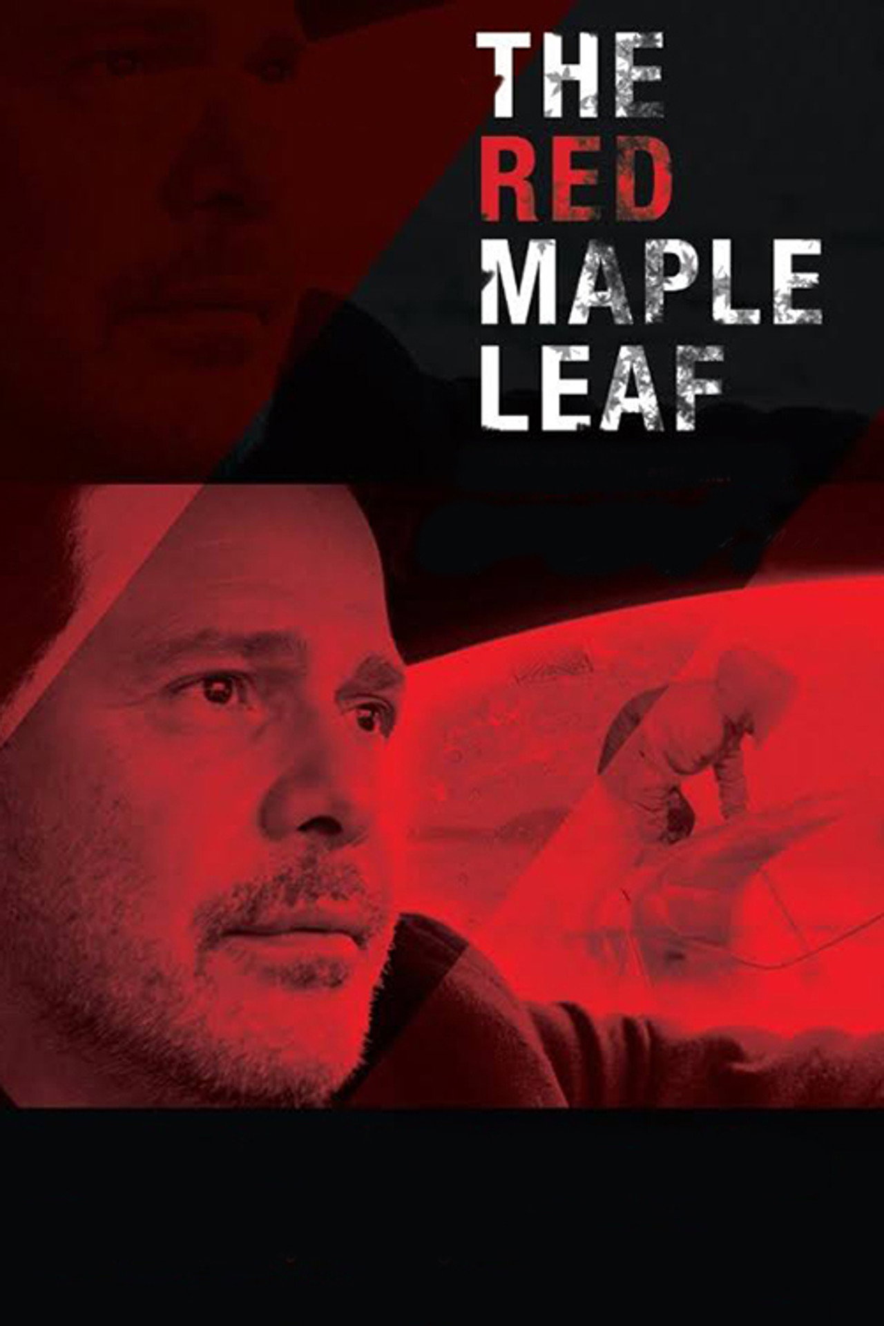 Pôster de The Red Maple Leaf