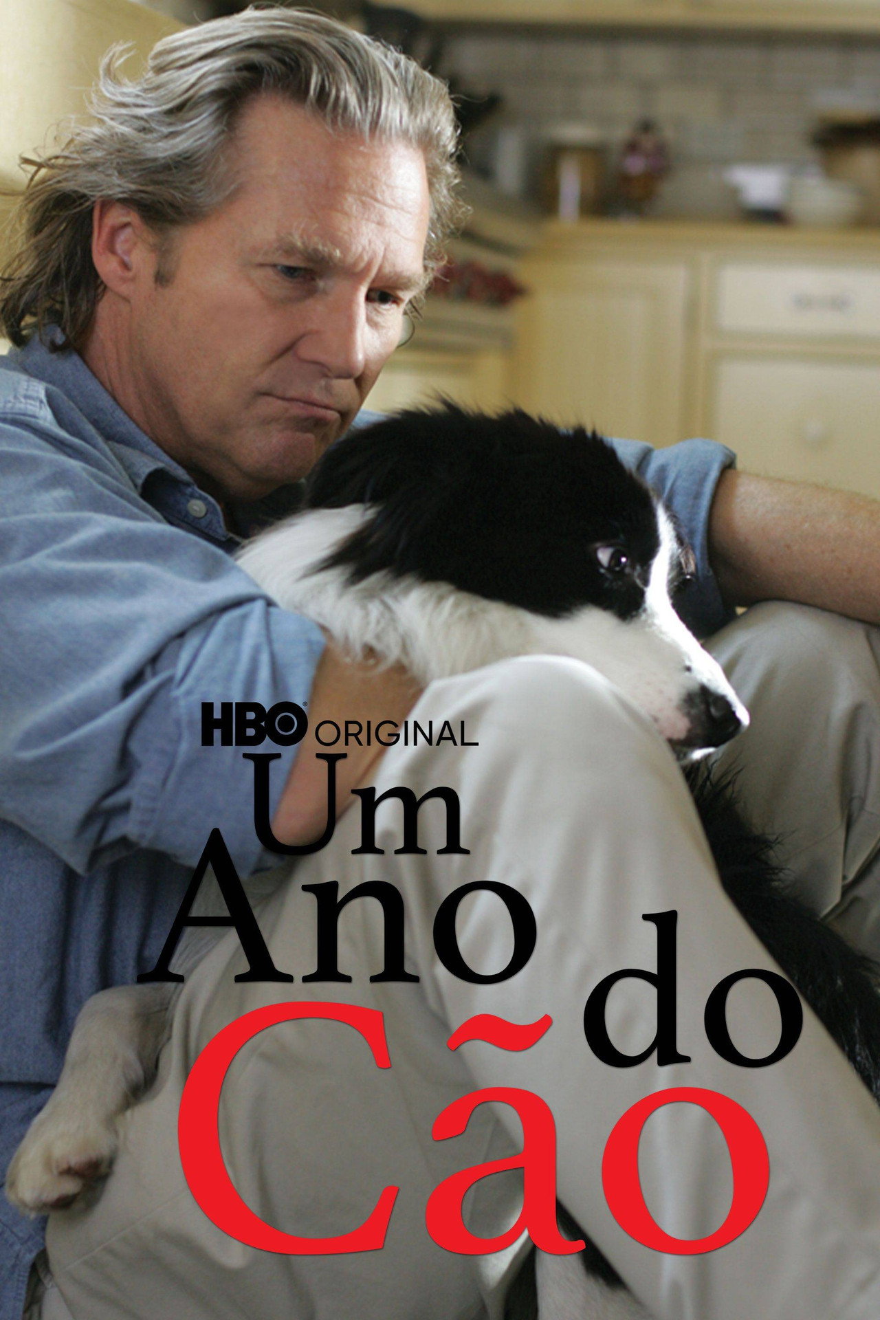 Pôster de Um Ano do Cão