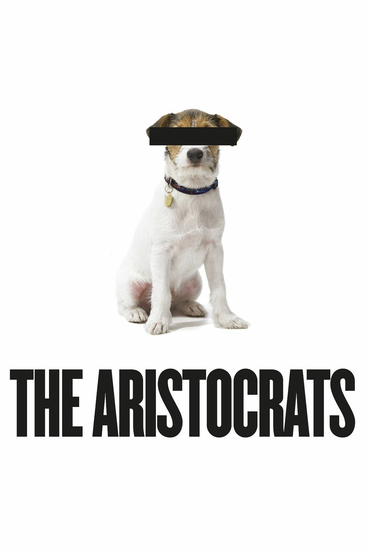 Pôster de Os Aristocratas