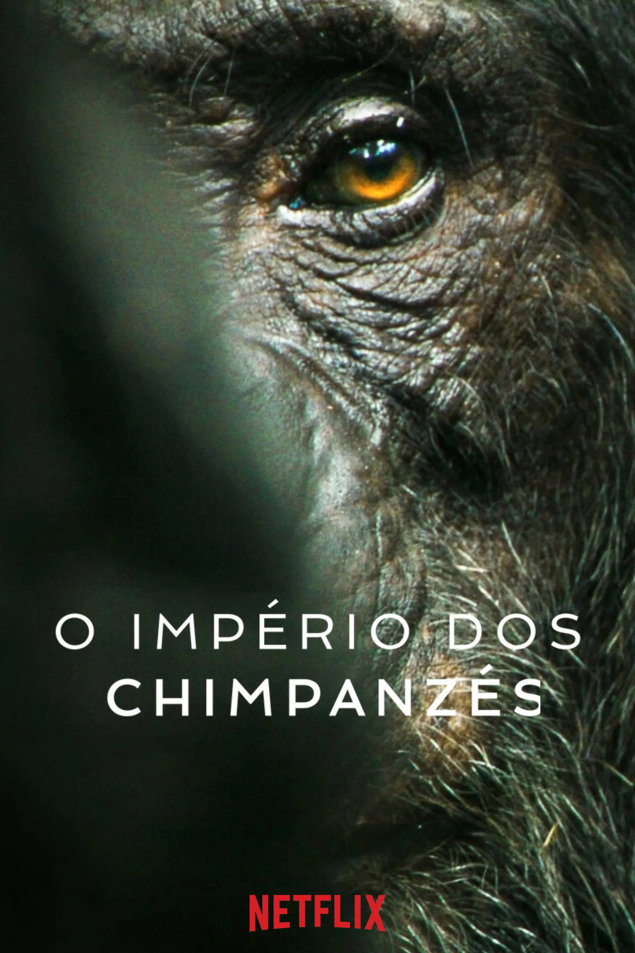 Pôster de O Império dos Chimpanzés