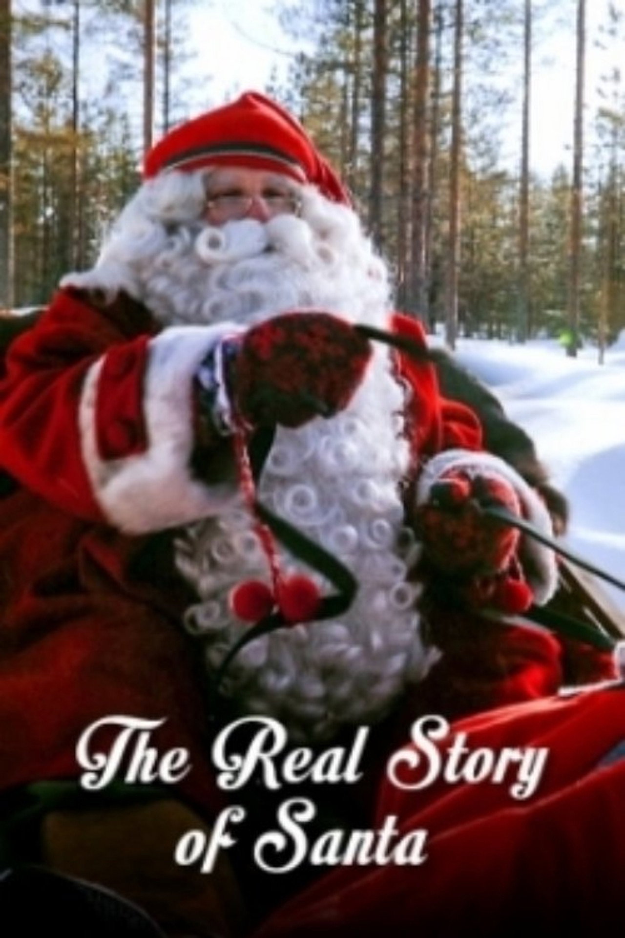 Pôster de The Truth About Santa Claus