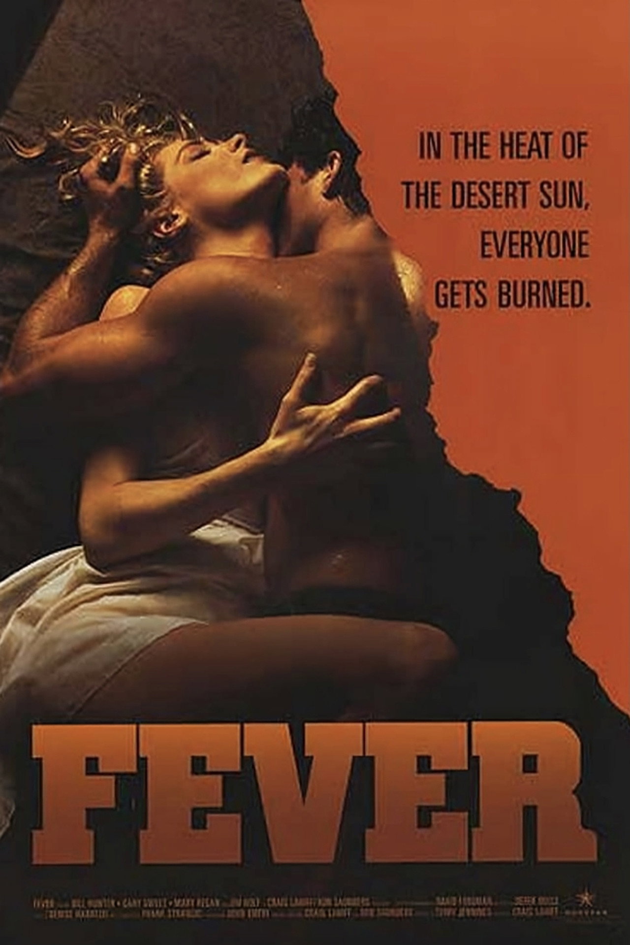 Pôster de Fever