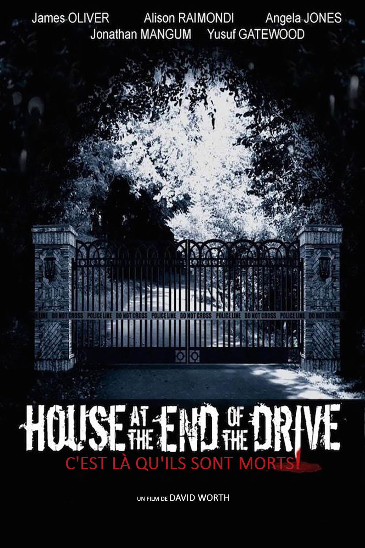 Pôster de House at the End of the Drive