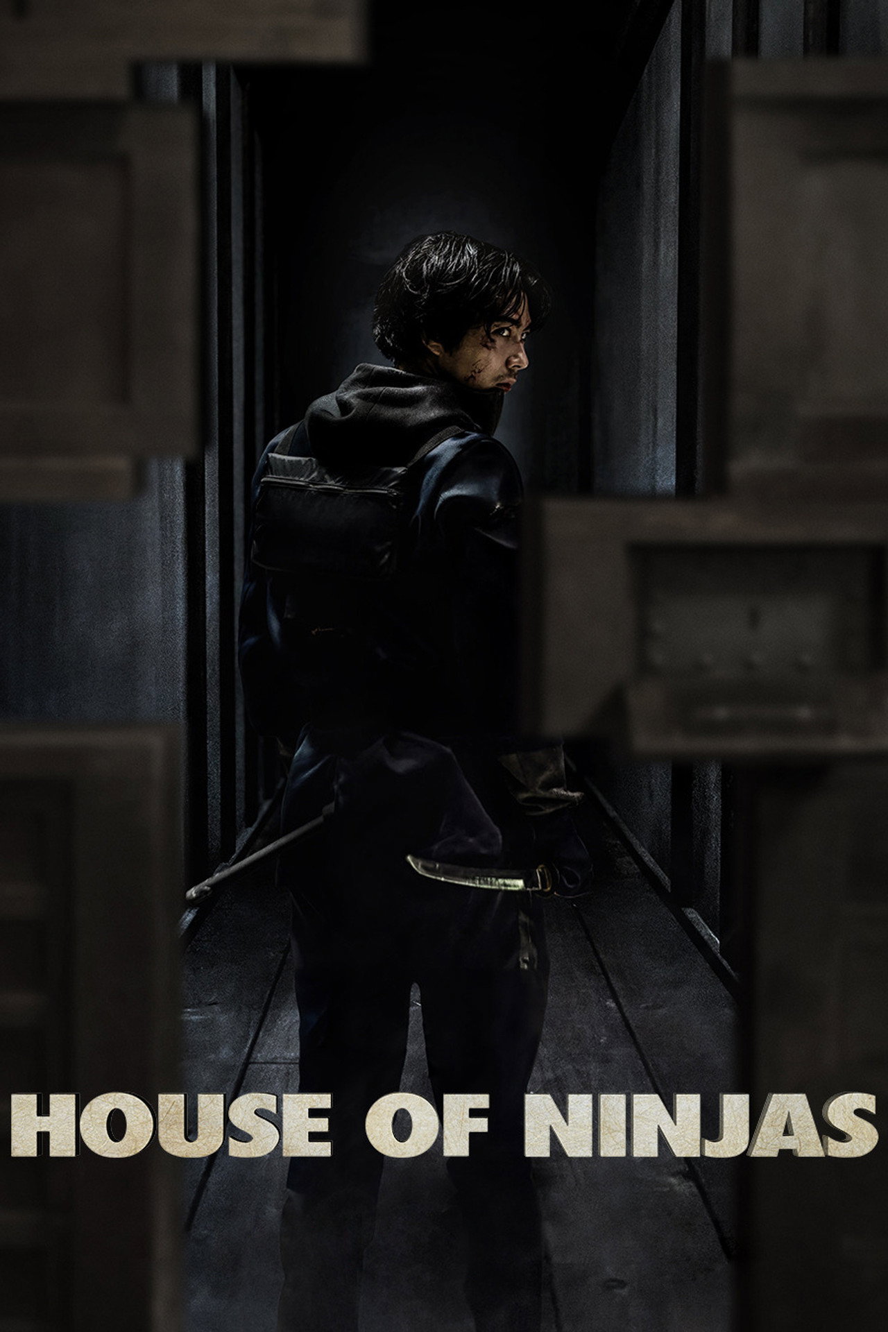 Pôster de House of Ninjas