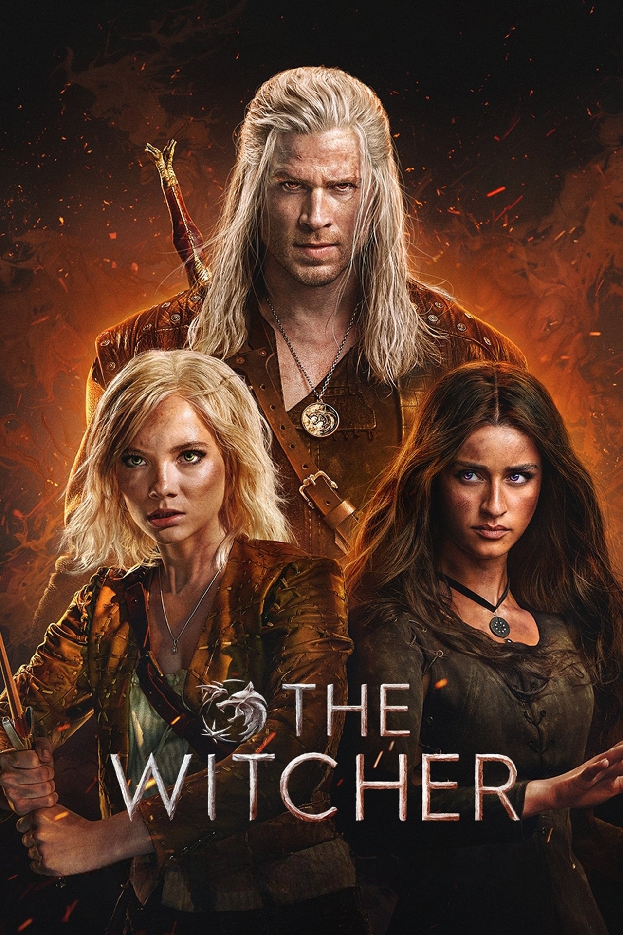 Pôster de The Witcher