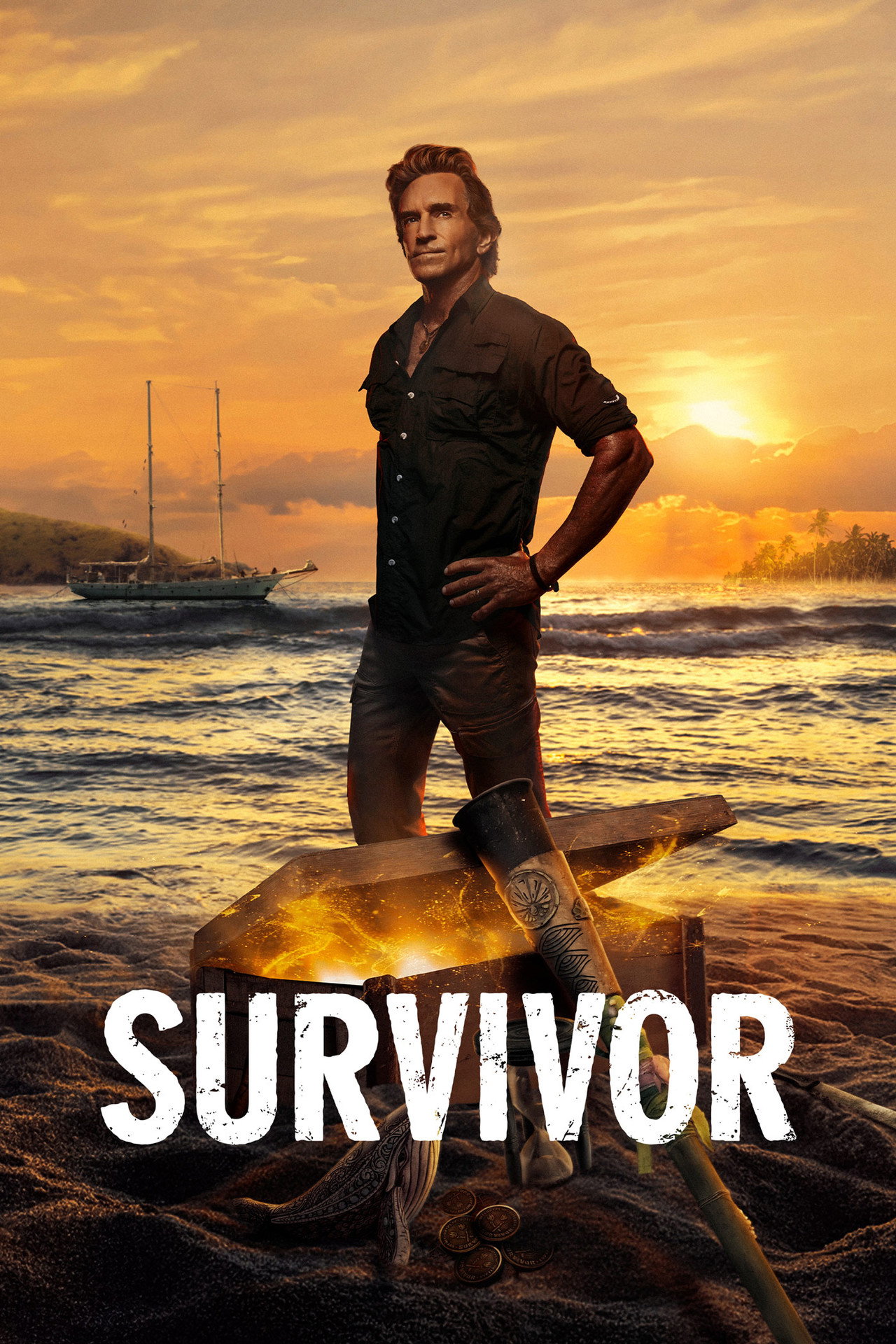 Pôster de Survivor