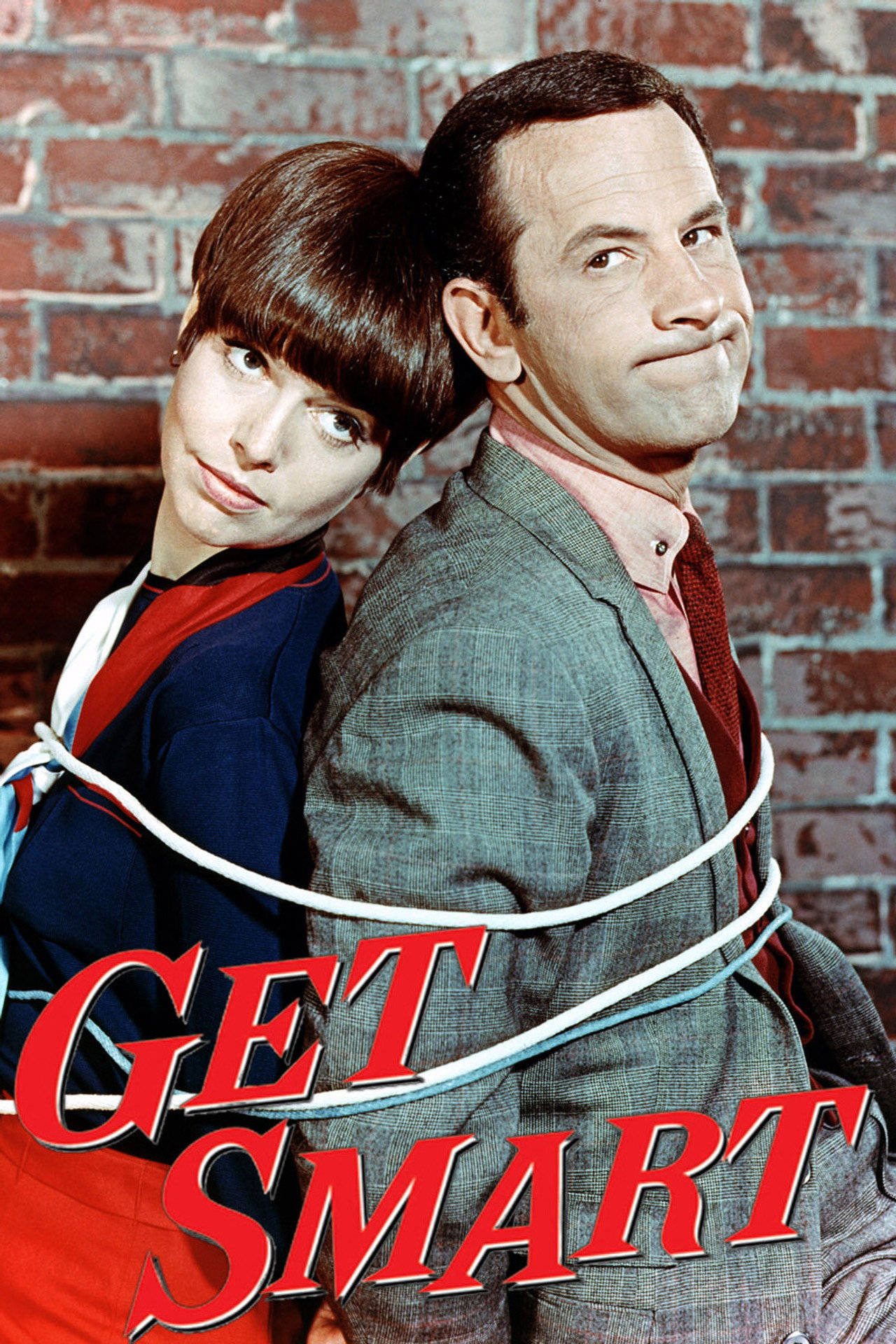 Pôster de Get Smart