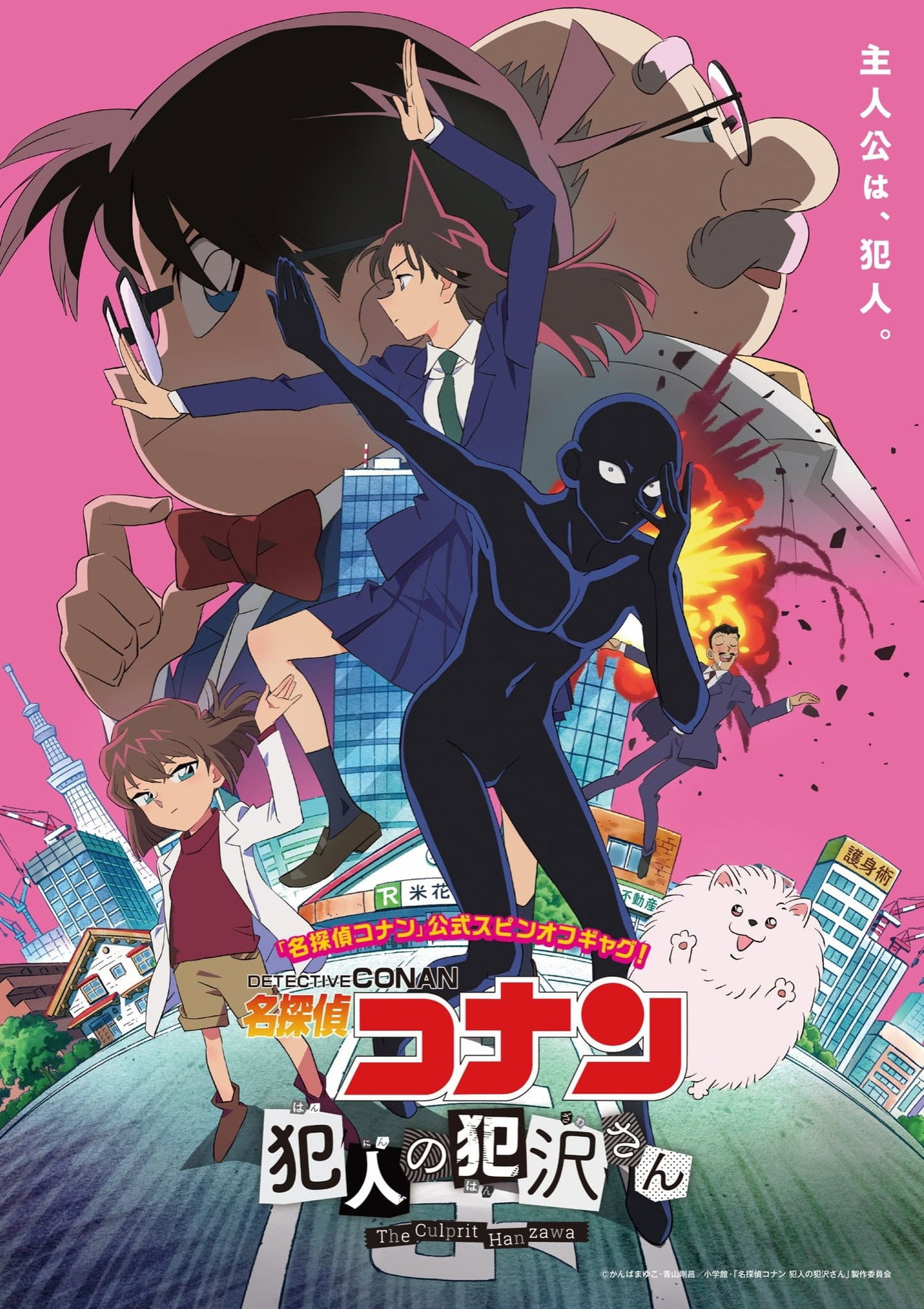 Pôster de Detetive Conan: Hanzawa, o Culpado
