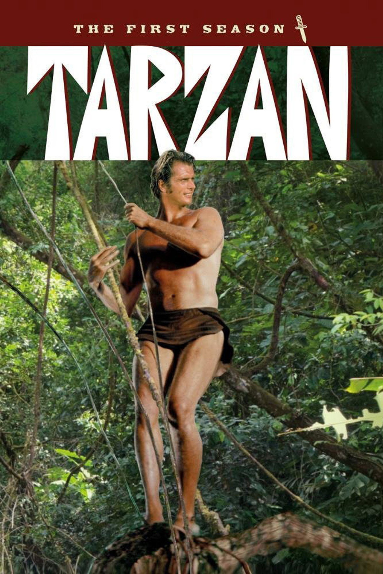 Pôster de Tarzan