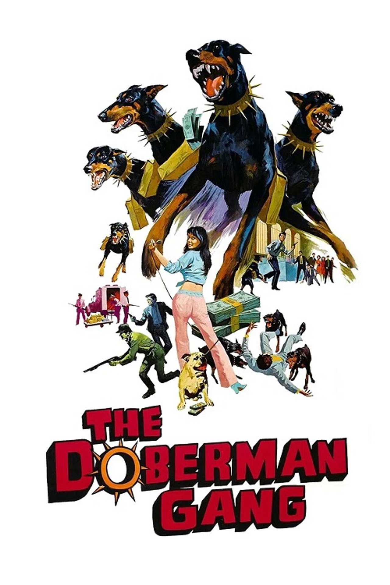 Pôster de A Gangue dos Dobermans