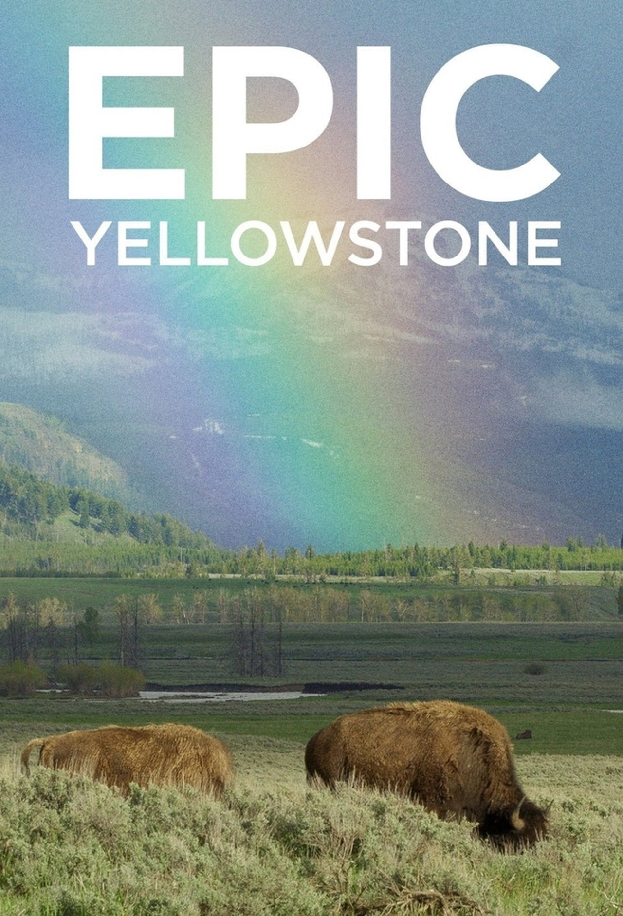 Pôster de Epic Yellowstone
