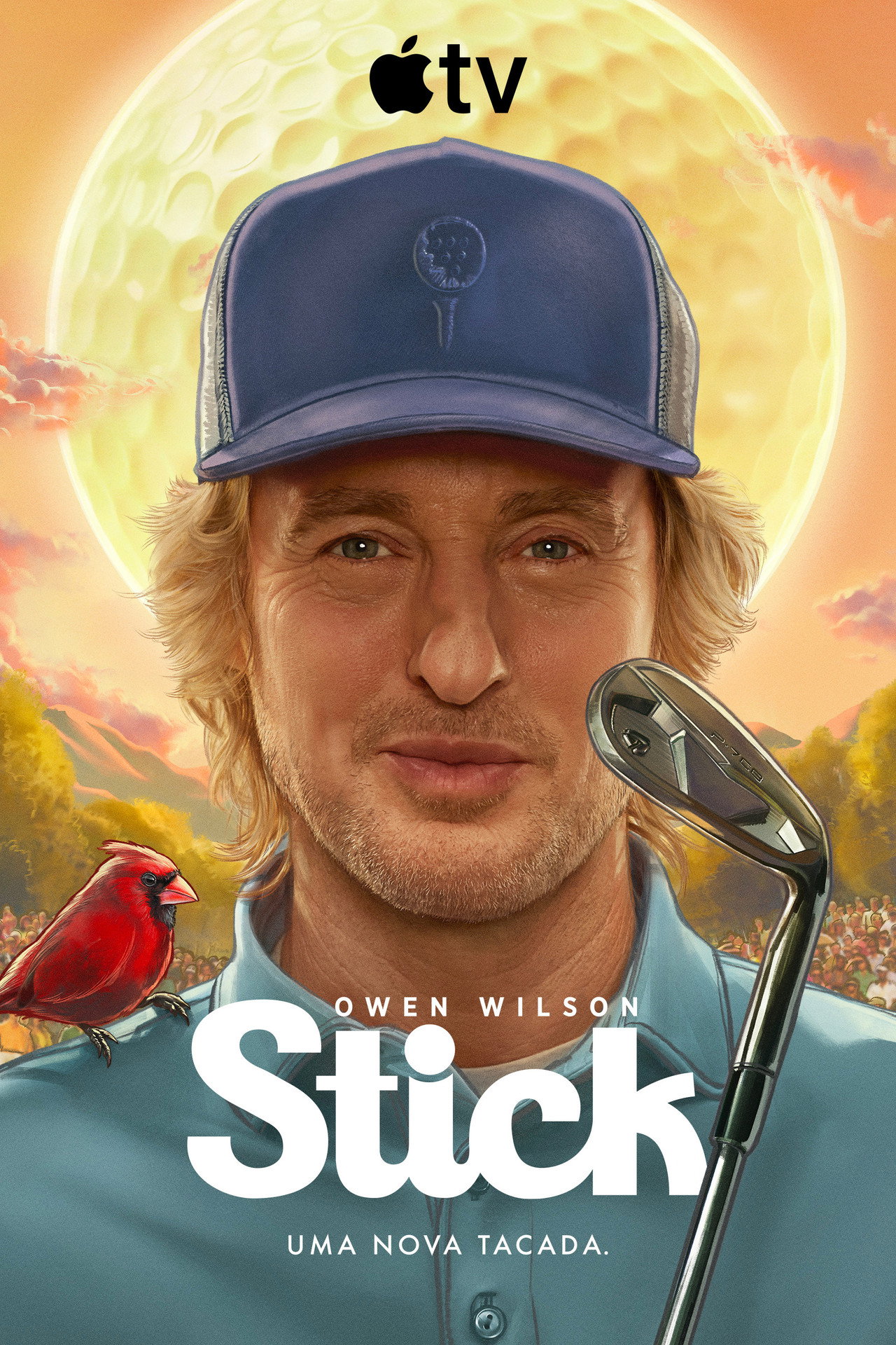 Pôster de Stick