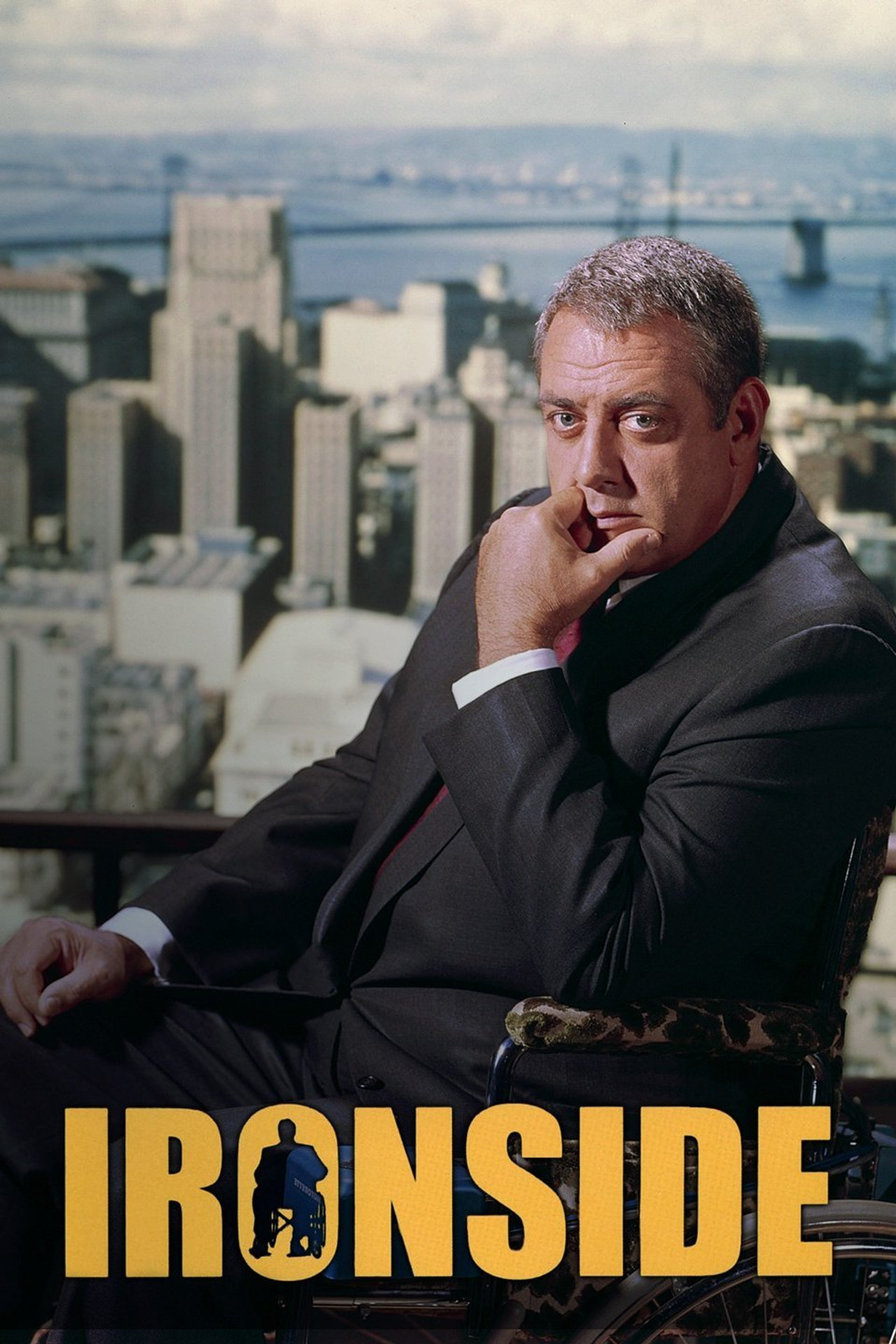 Pôster de The chef
