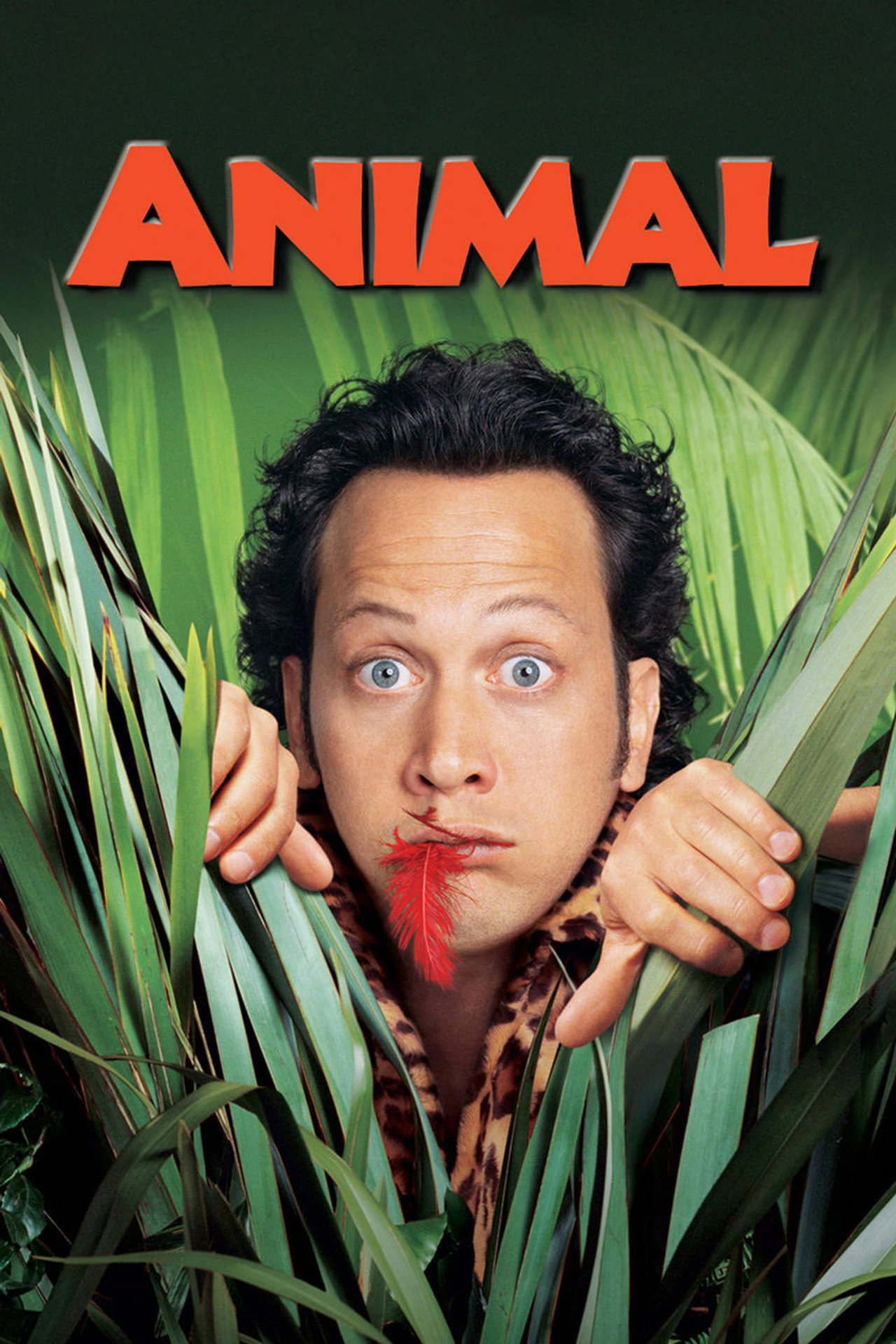Pôster de Animal