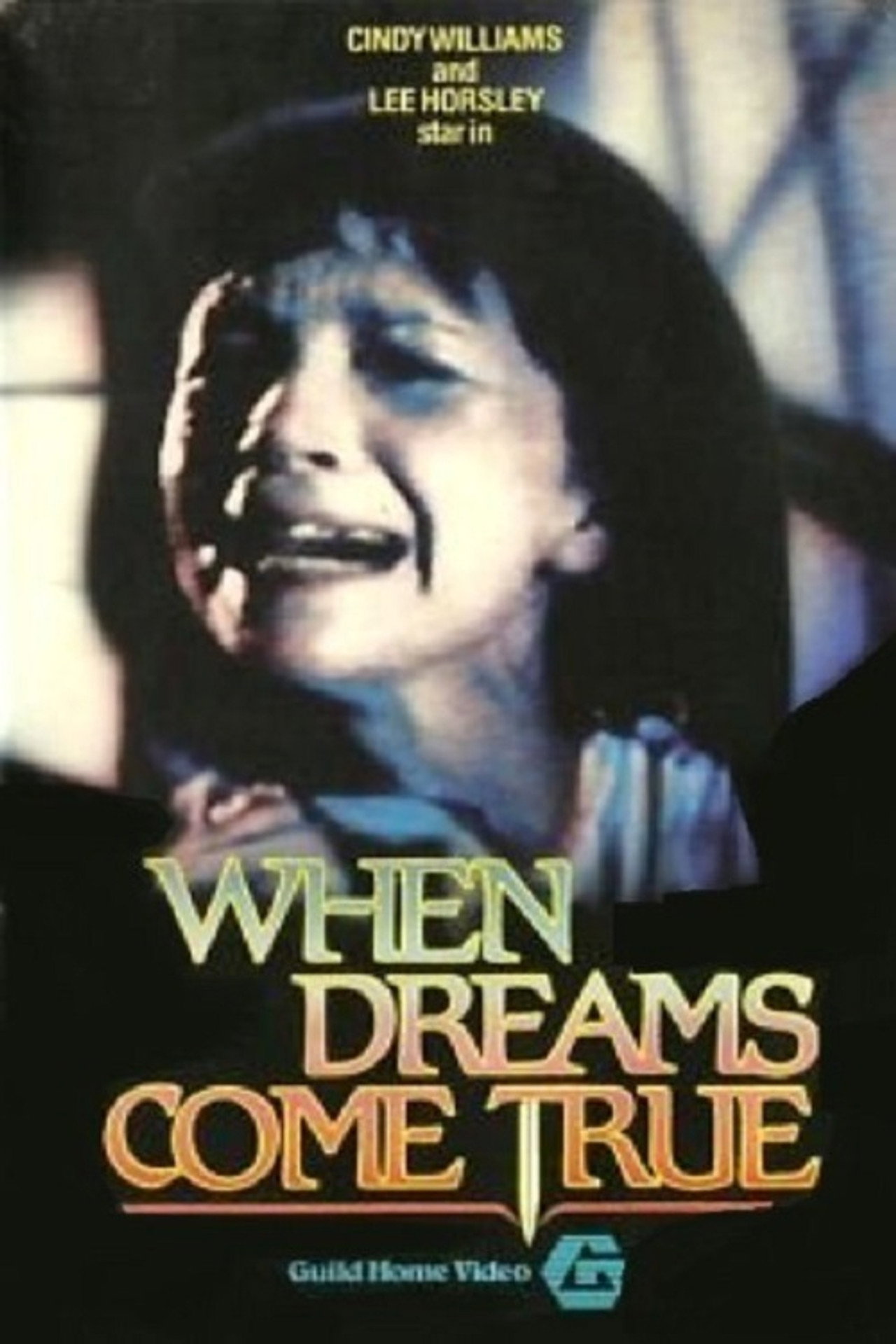 Pôster de When Dreams Come True