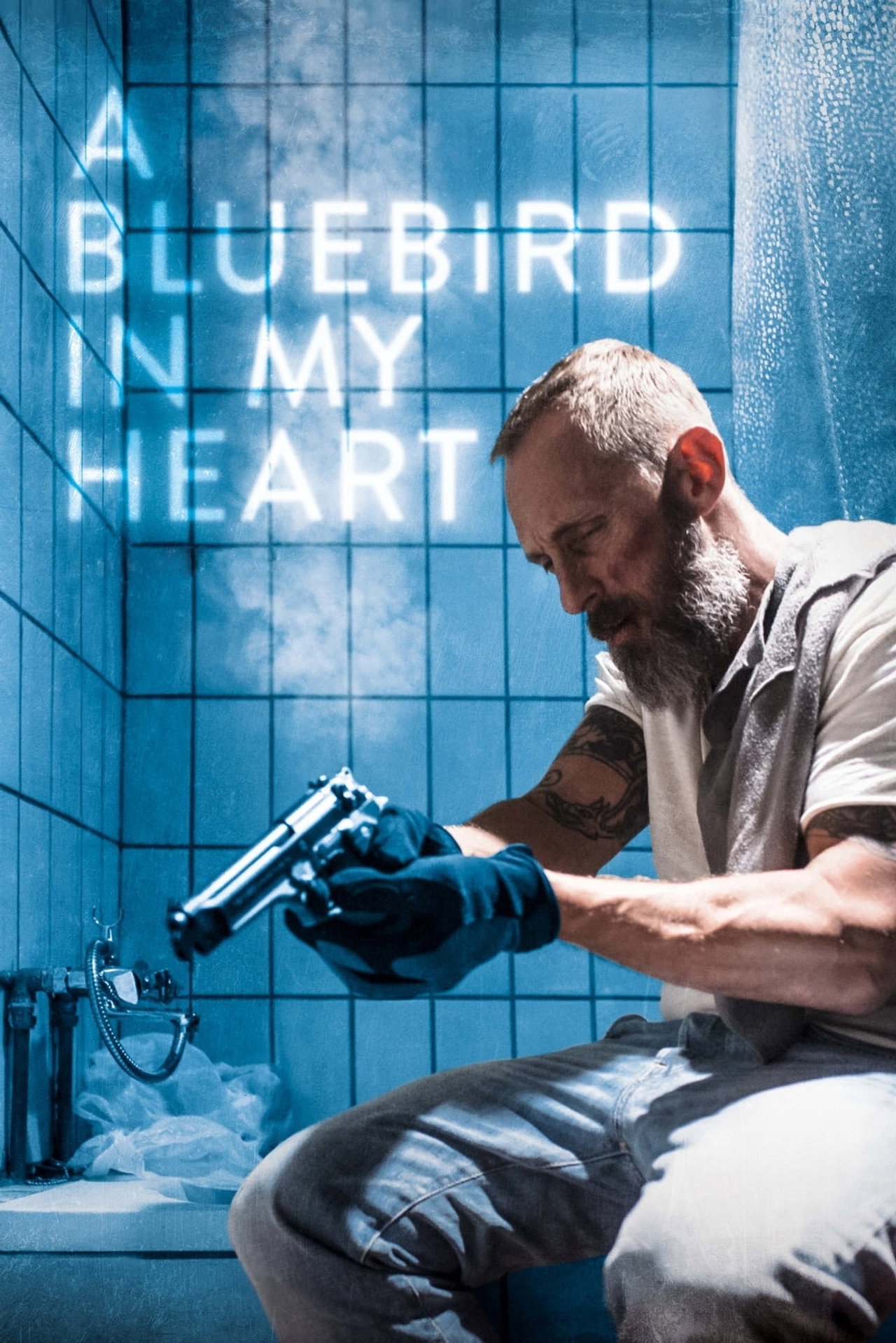Pôster de A Bluebird in My Heart