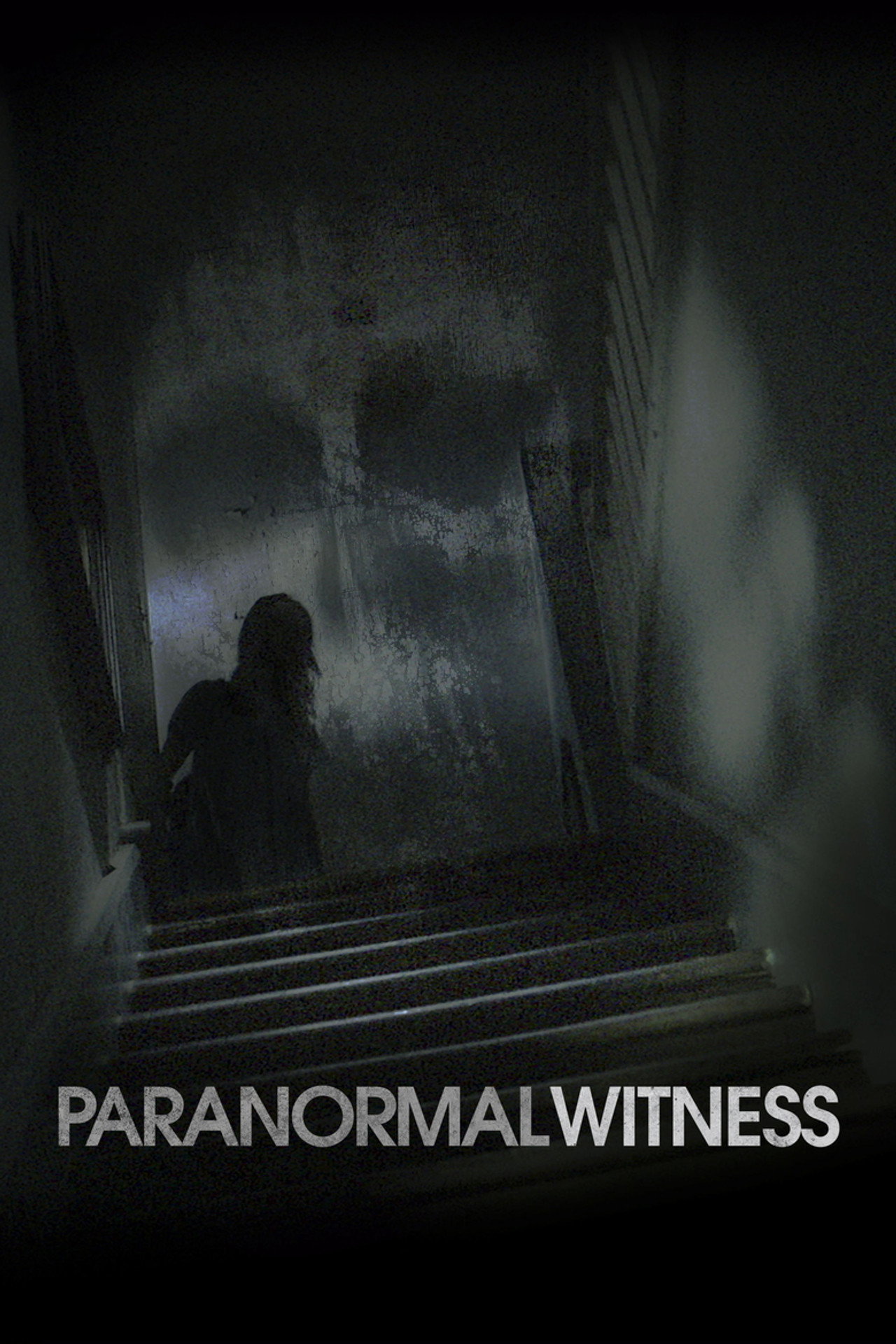 Pôster de Paranormal Witness