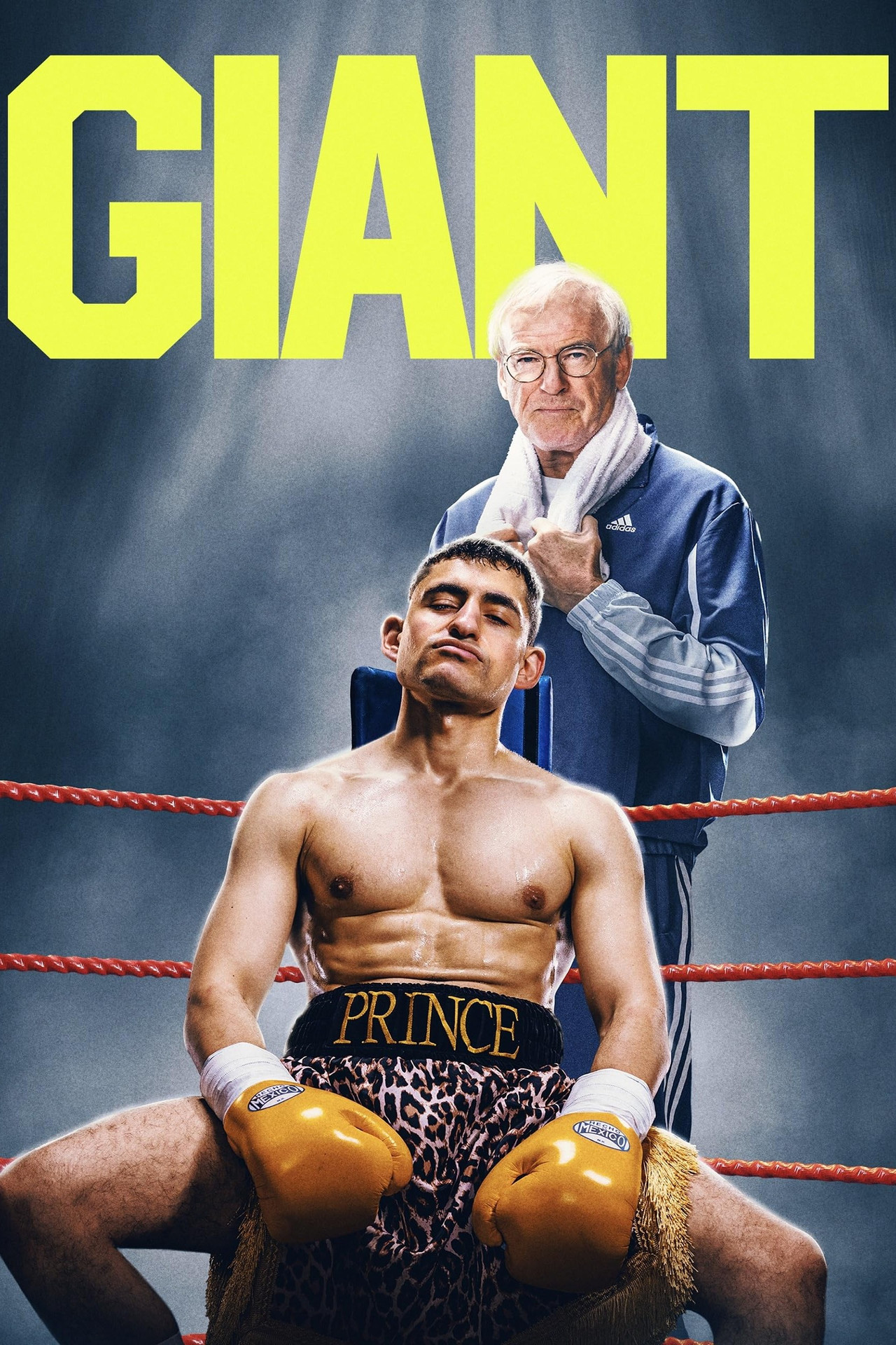 Pôster de Giant