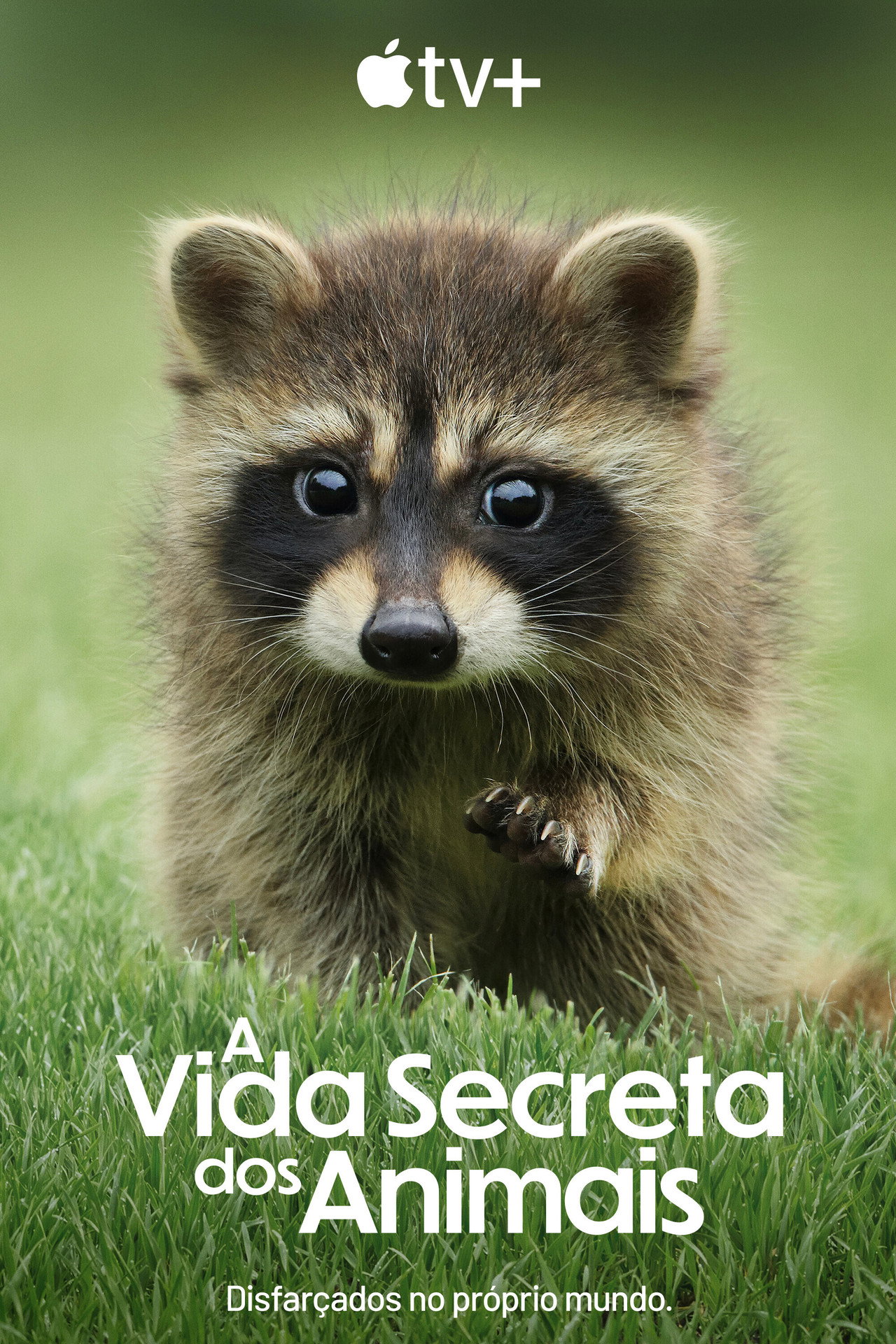 Pôster de A Vida Secreta dos Animais