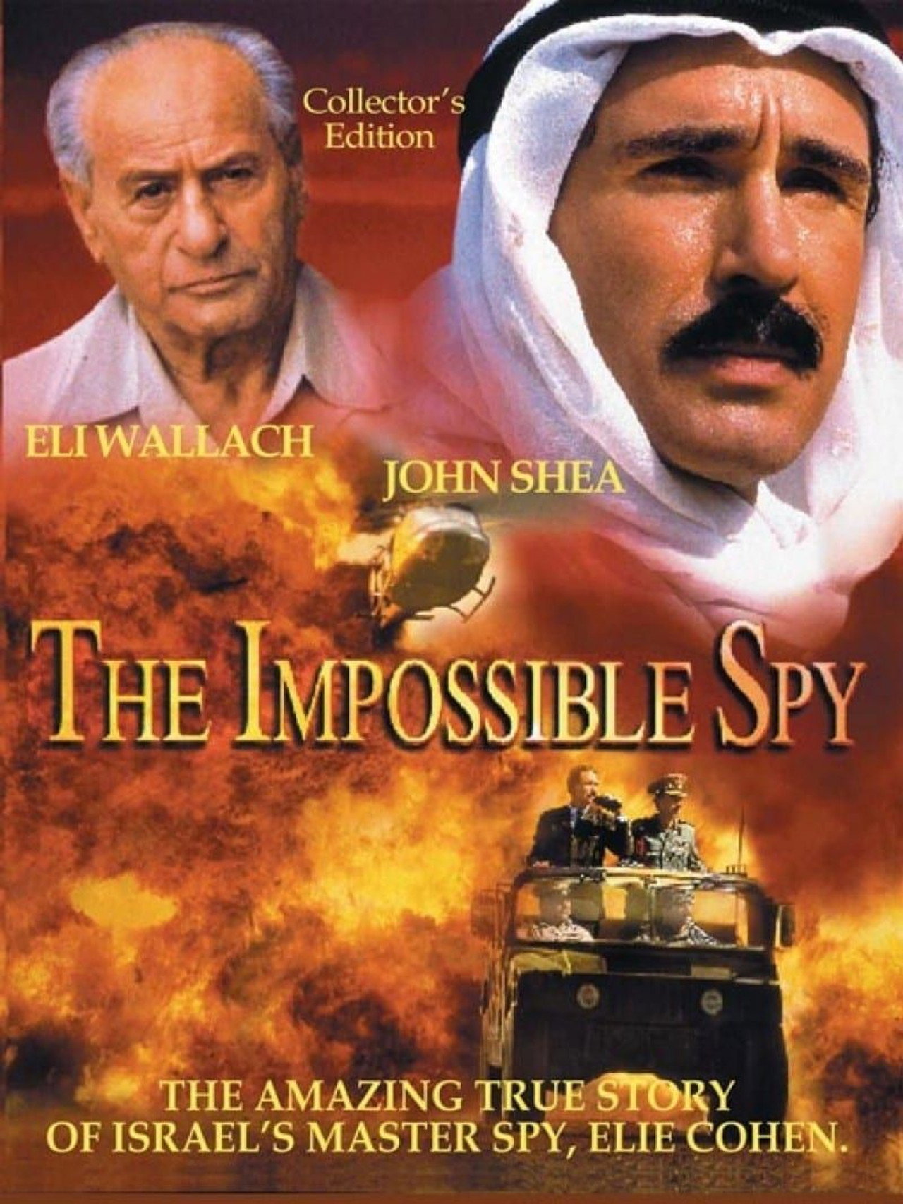 Pôster de The Impossible Spy