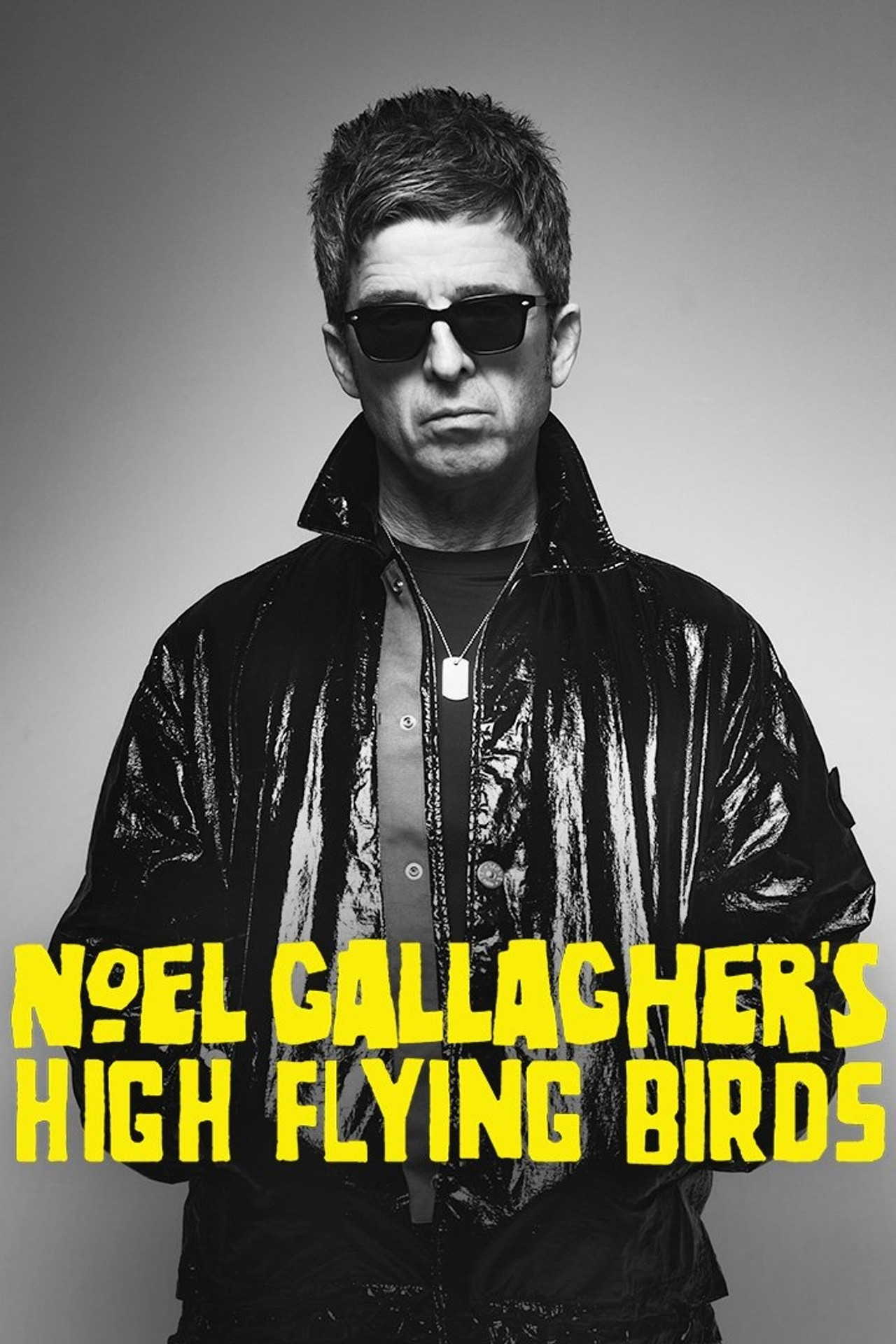 Pôster de Noel Gallagher's High Flying Birds en concert au Zénith de Paris