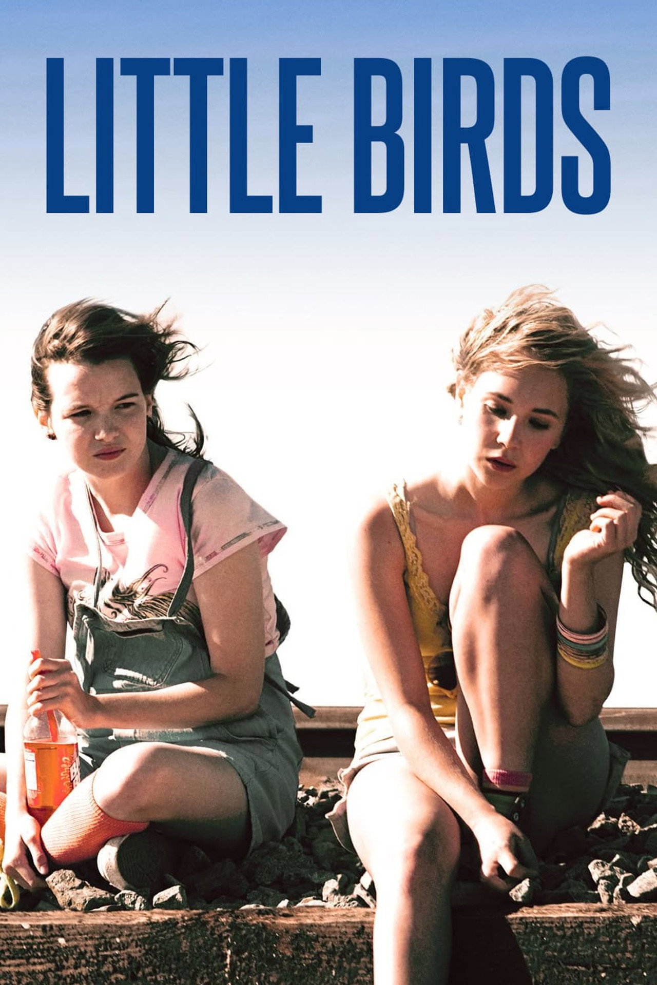 Pôster de Little Birds