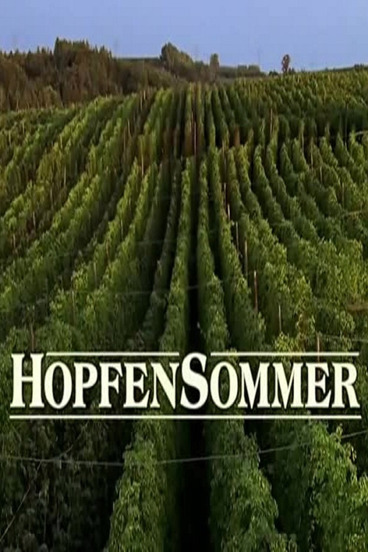 Pôster de Hopfensommer