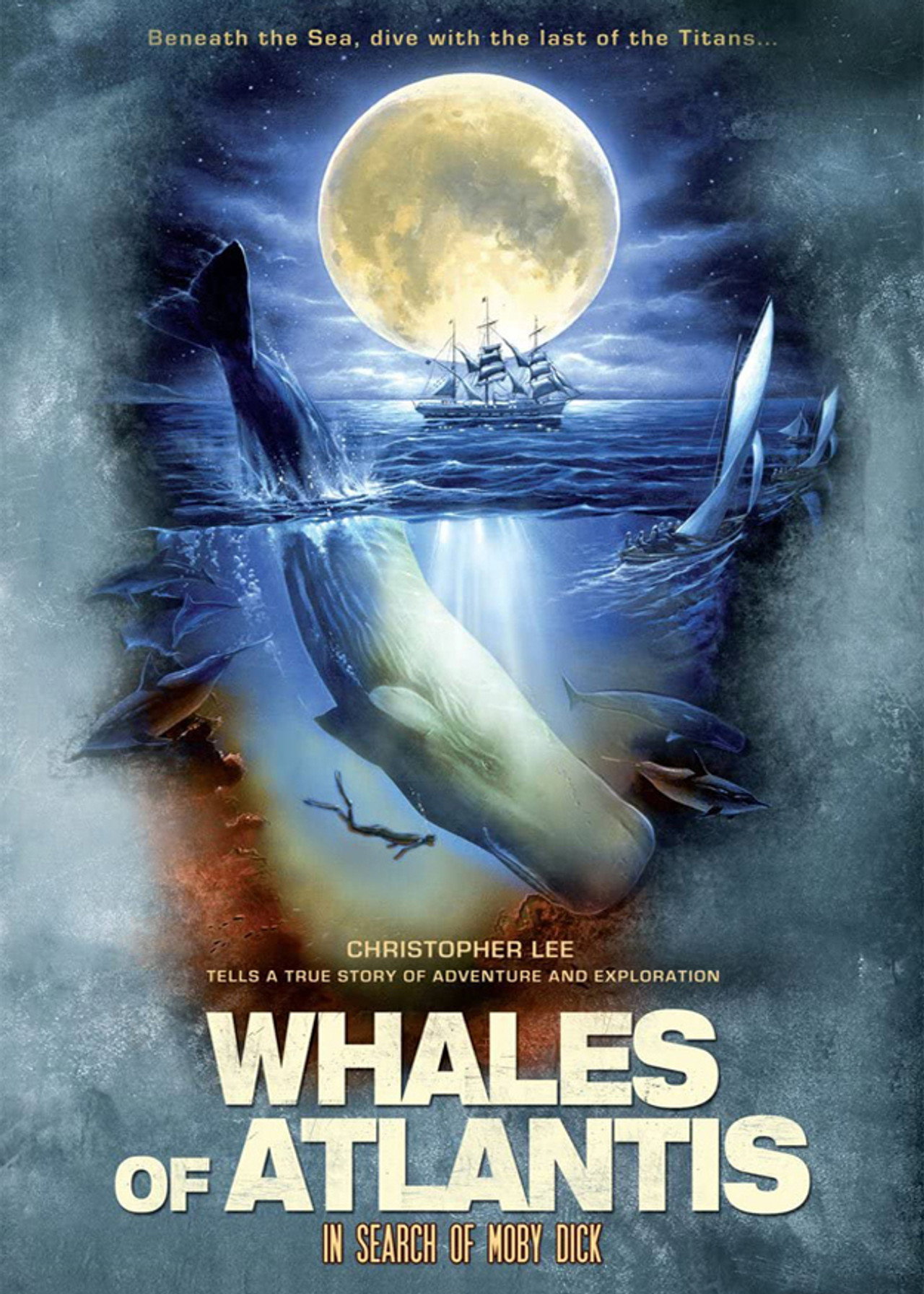 Pôster de Whales of Atlantis: In Search of Moby Dick