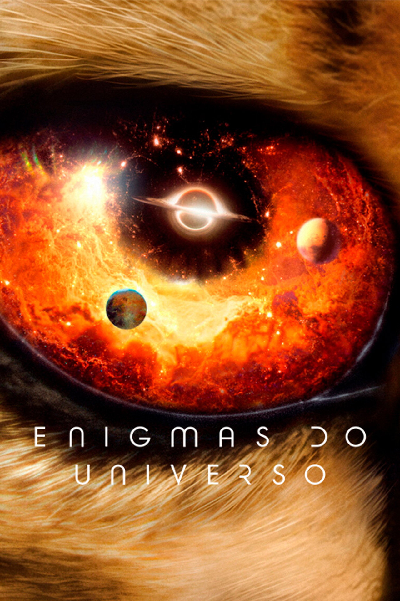 Pôster de Enigmas do Universo
