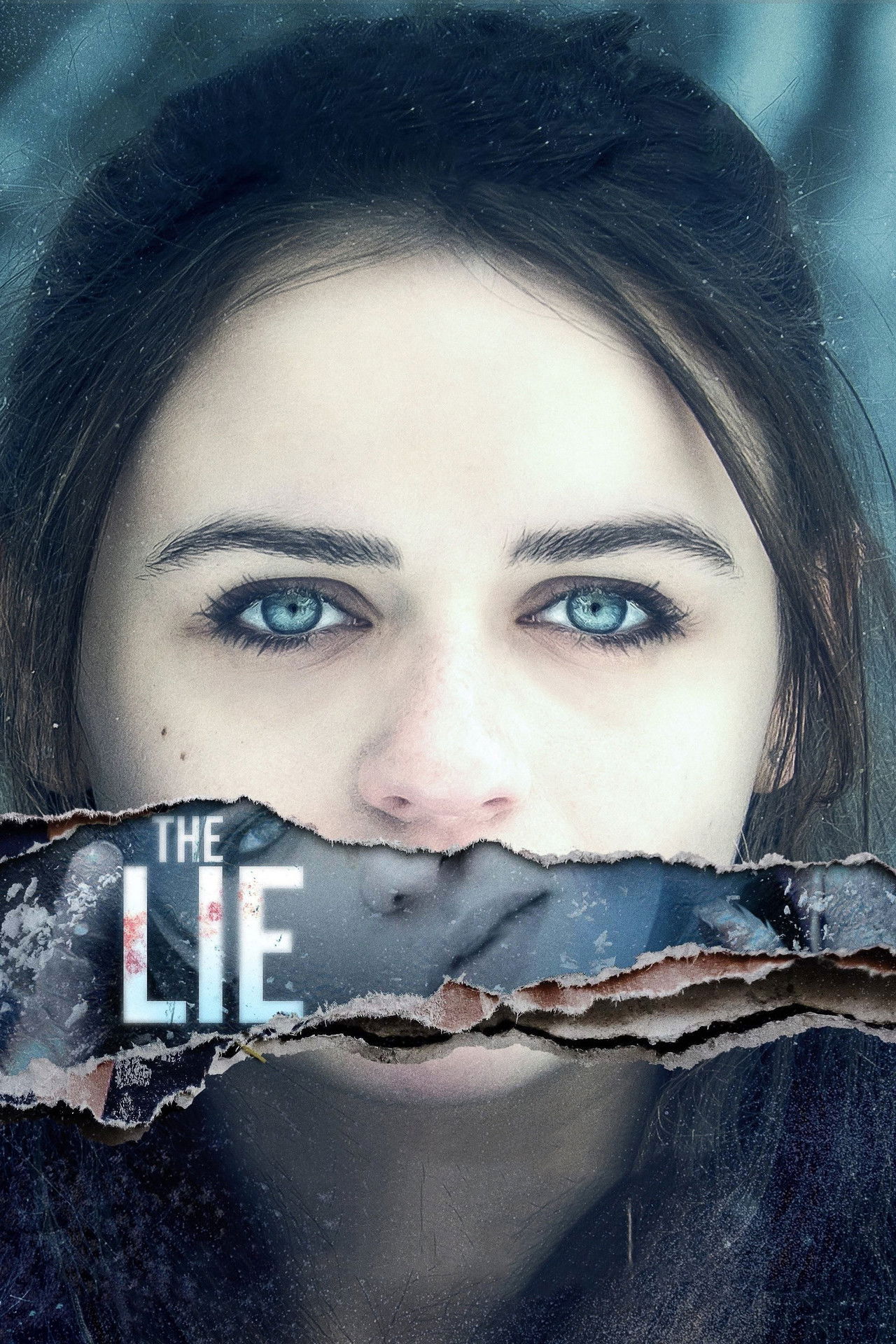 Pôster de The Lie