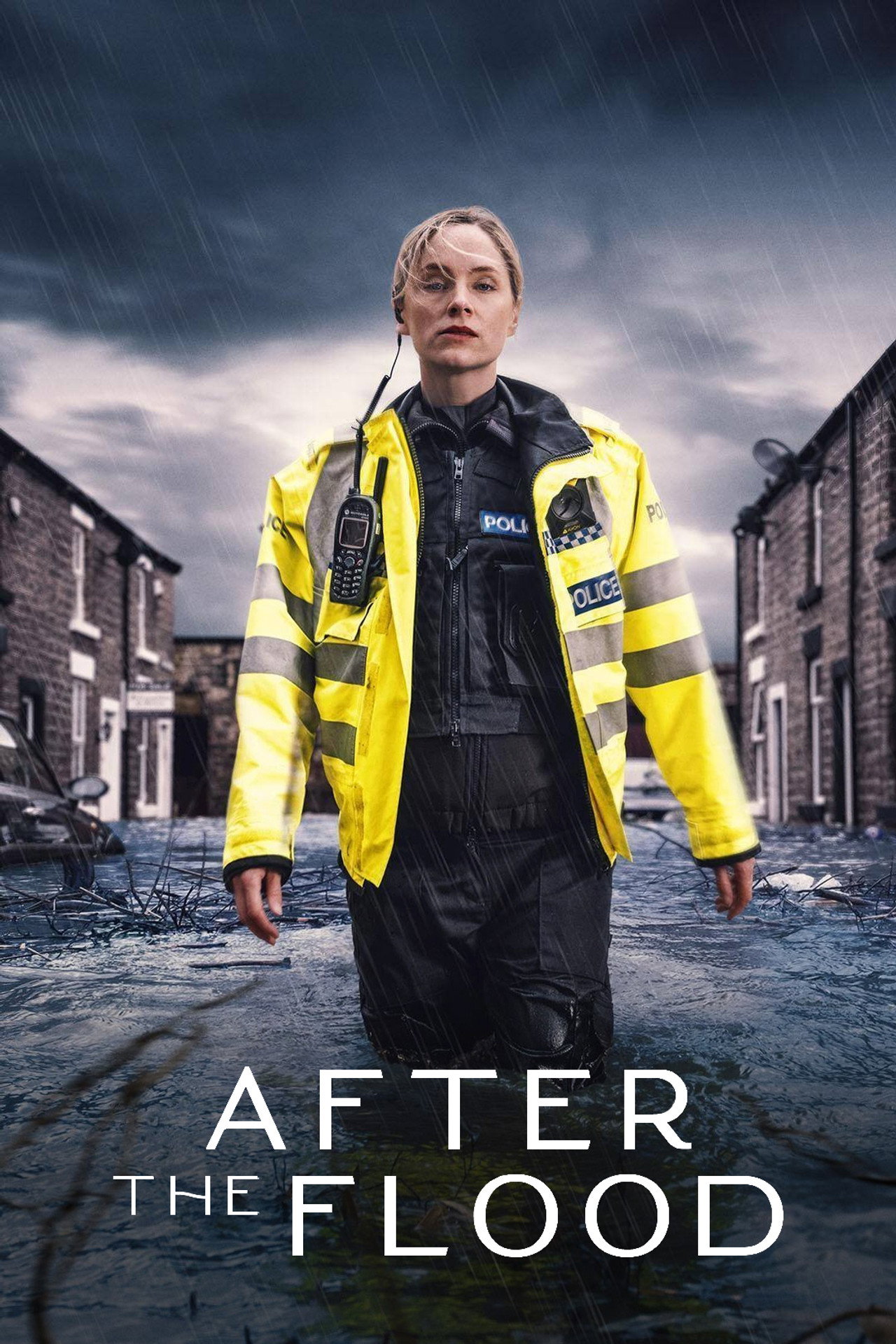 Pôster de After the Flood