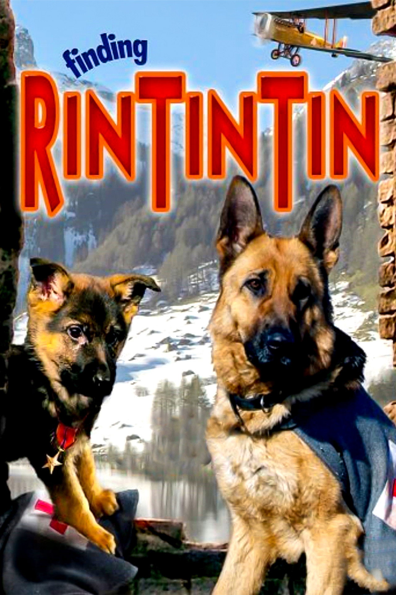 Pôster de Finding Rin Tin Tin