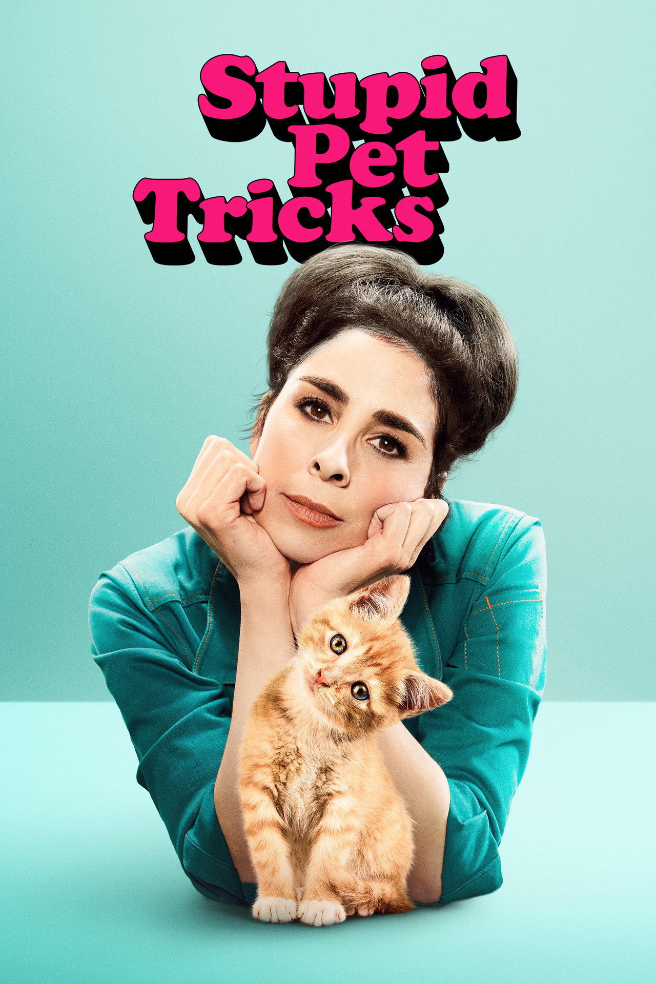 Pôster de Stupid Pet Tricks