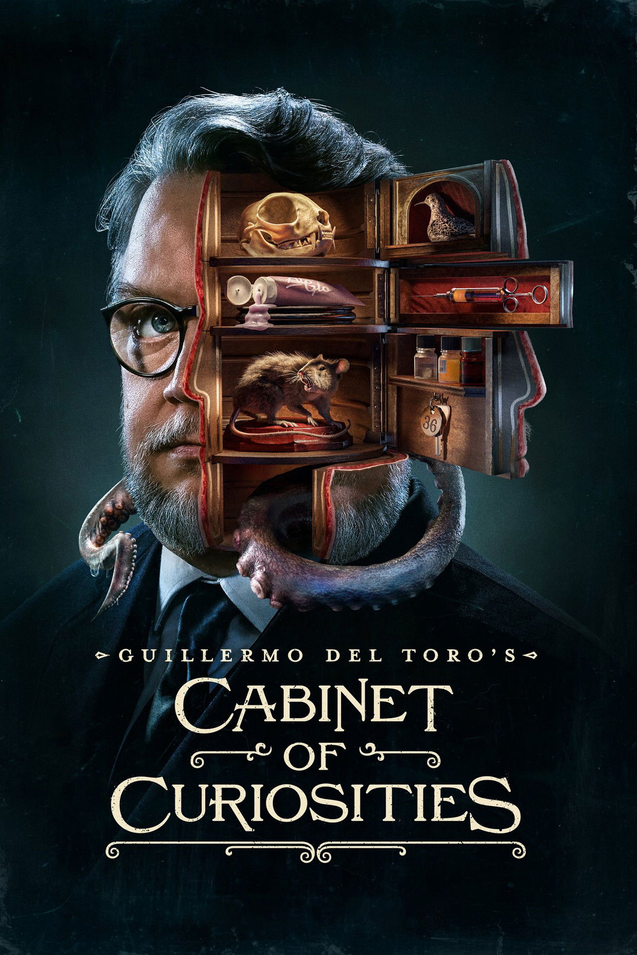 Pôster de Guillermo del Toro's Cabinet of Curiosities