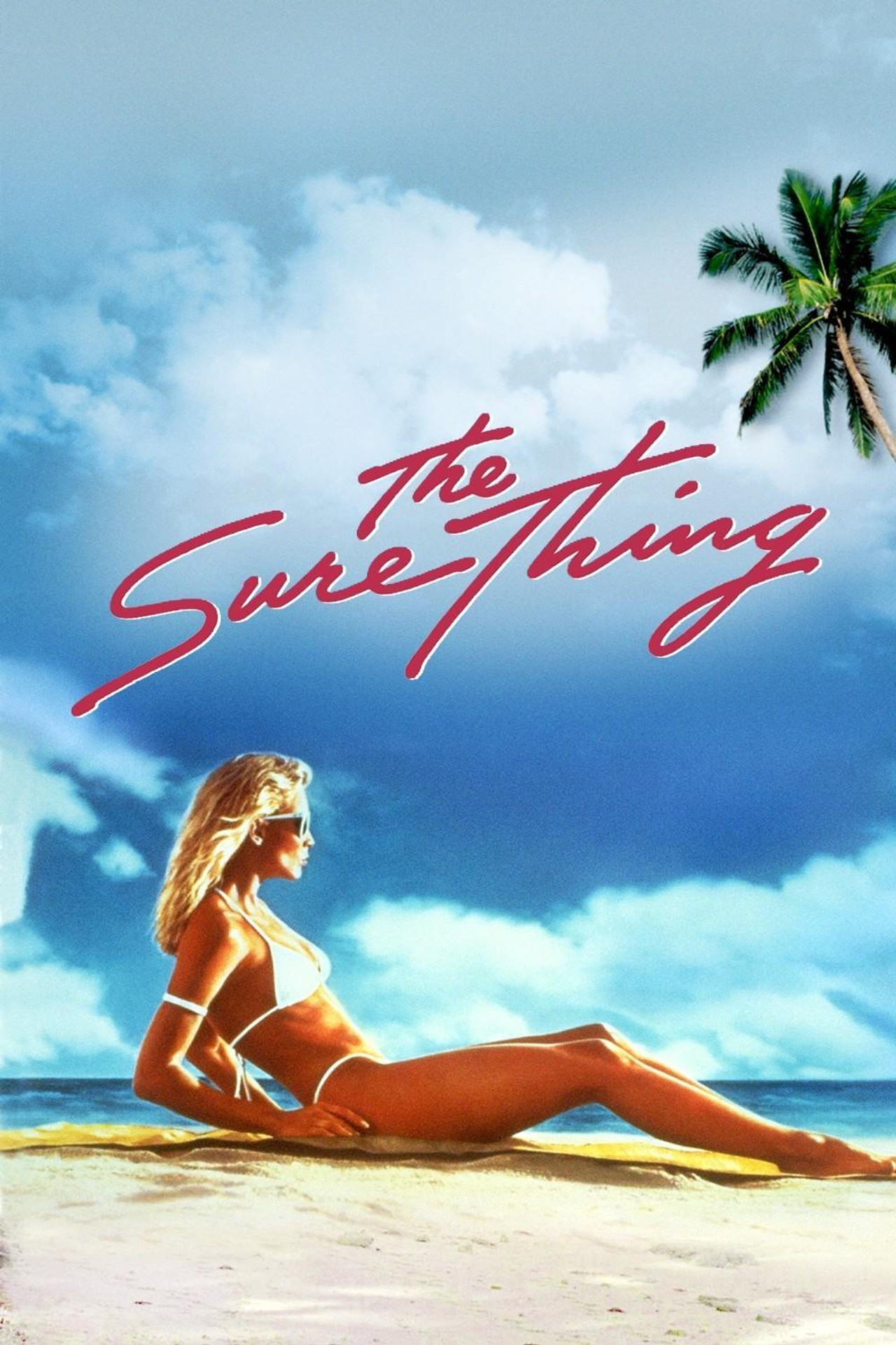 Pôster de The Sure Thing