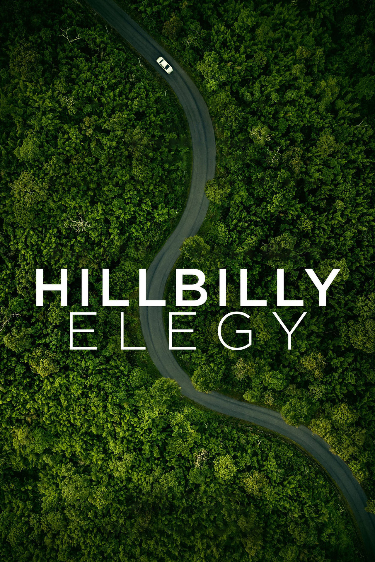 Pôster de Hillbilly Elegy