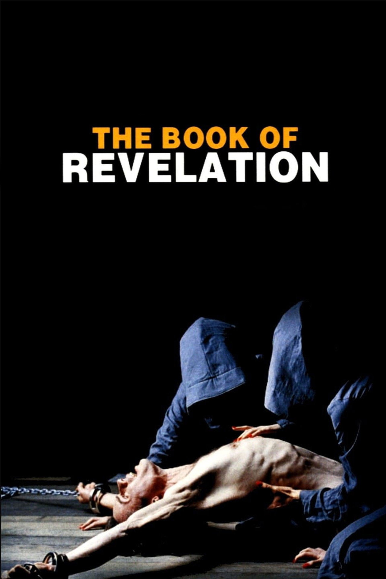 Pôster de The Book of Revelation