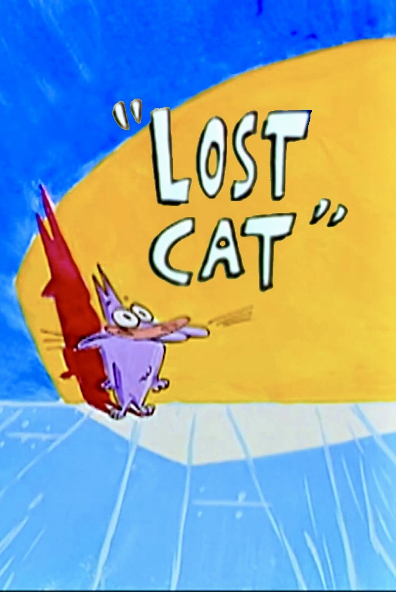 Pôster de Lost Cat