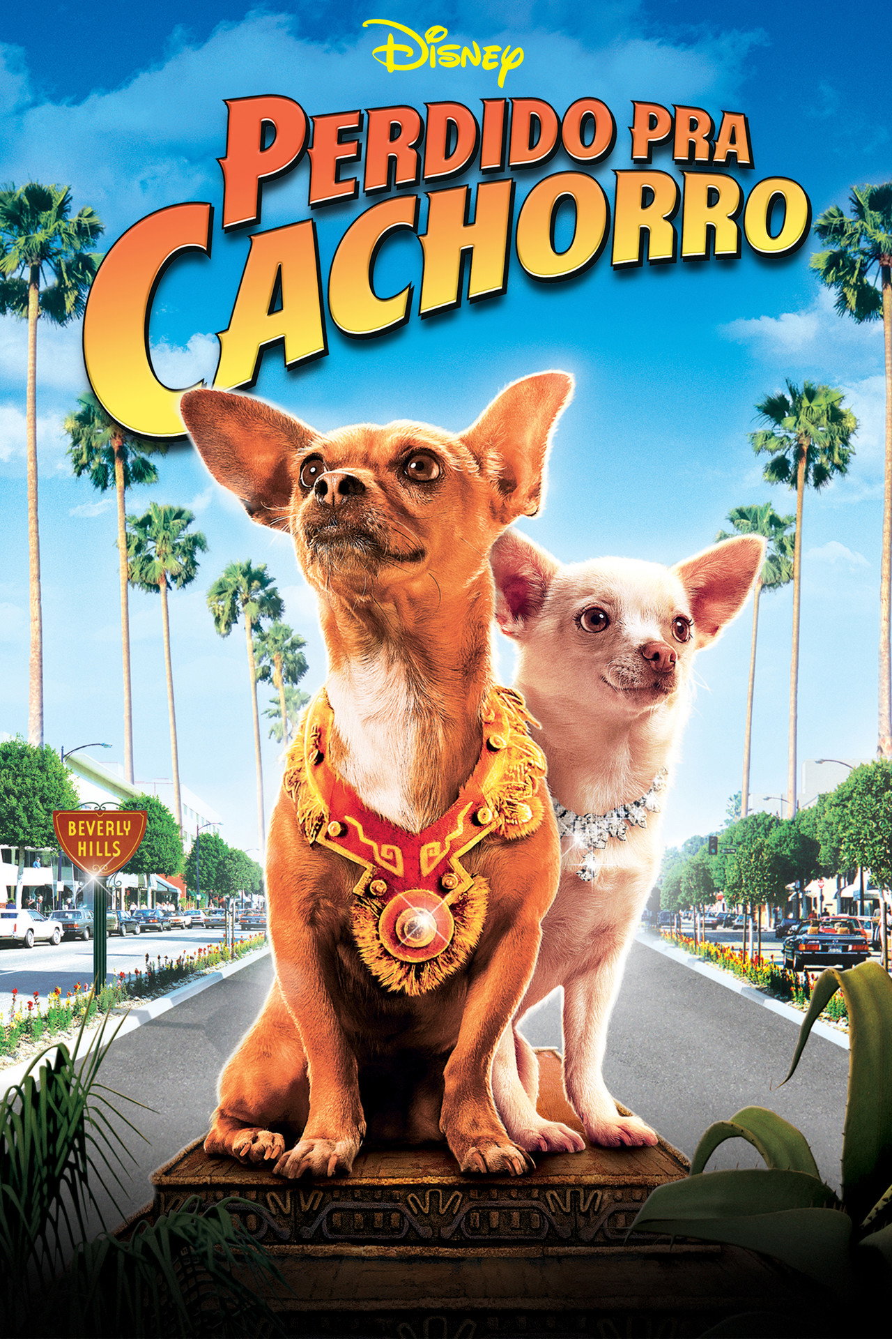 Pôster de Perdido pra Cachorro