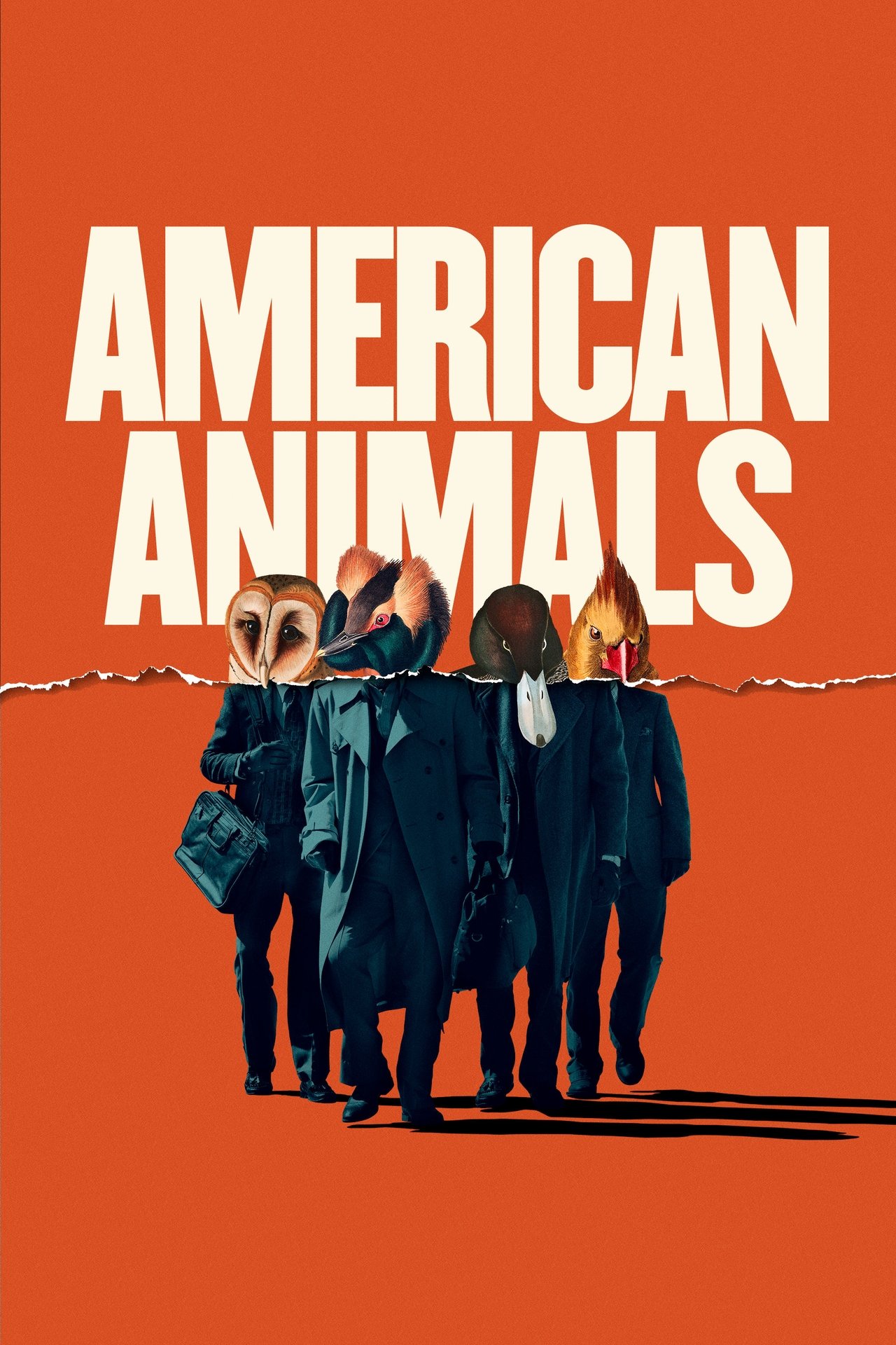 Pôster de American Animals