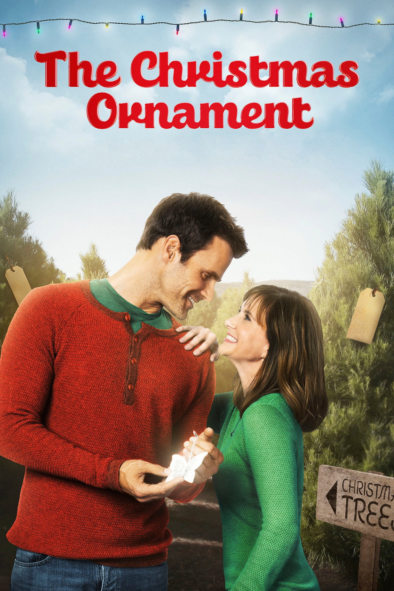 Pôster de The Christmas Ornament