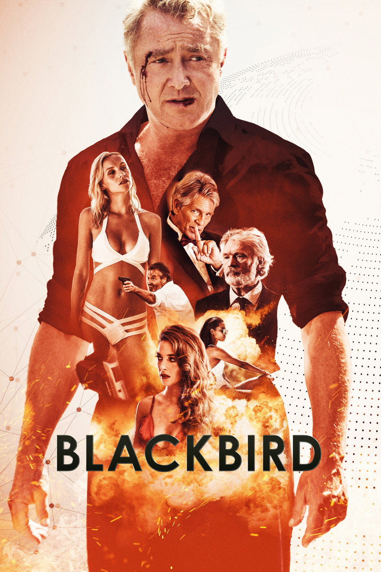 Pôster de Blackbird