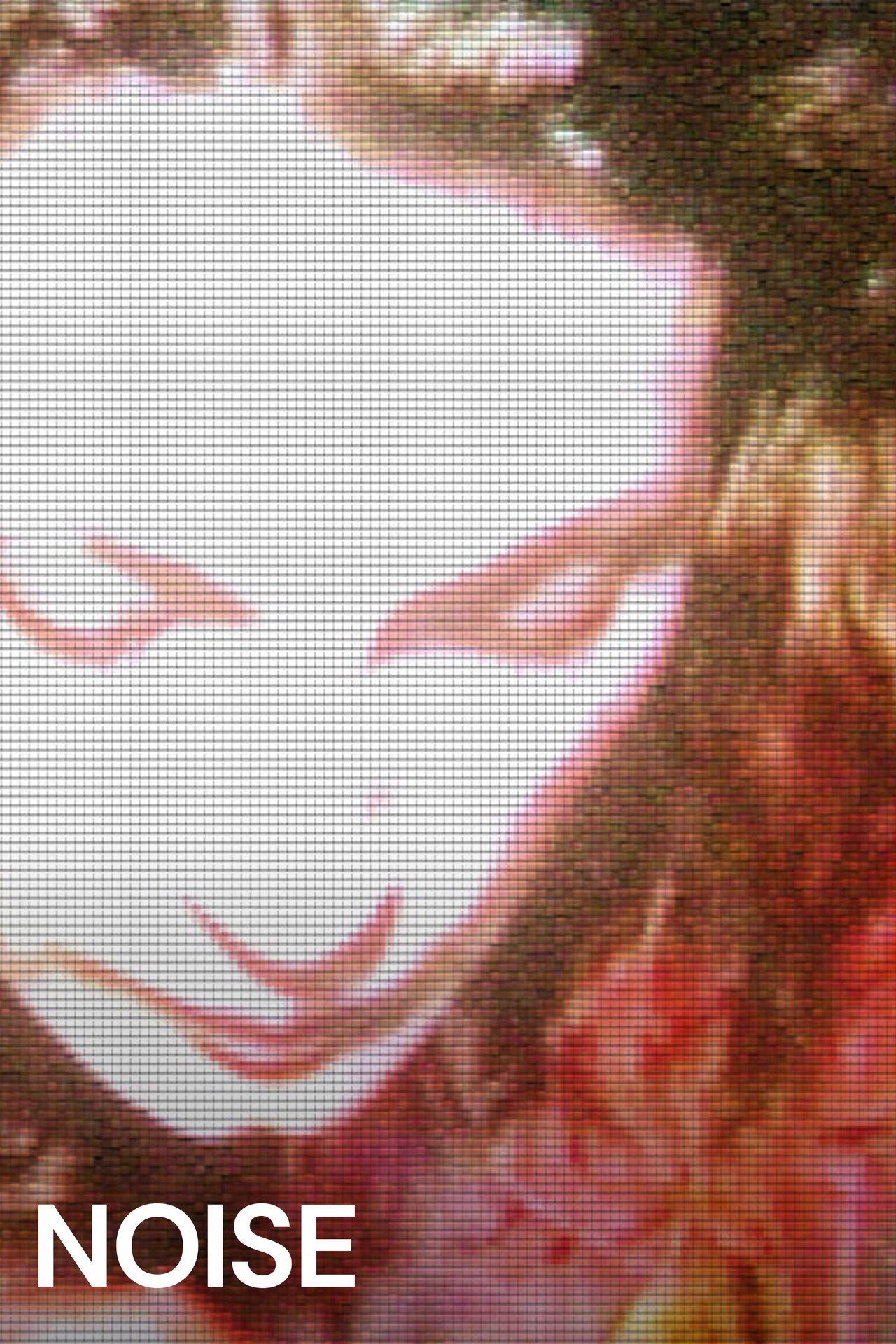 Pôster de Noise