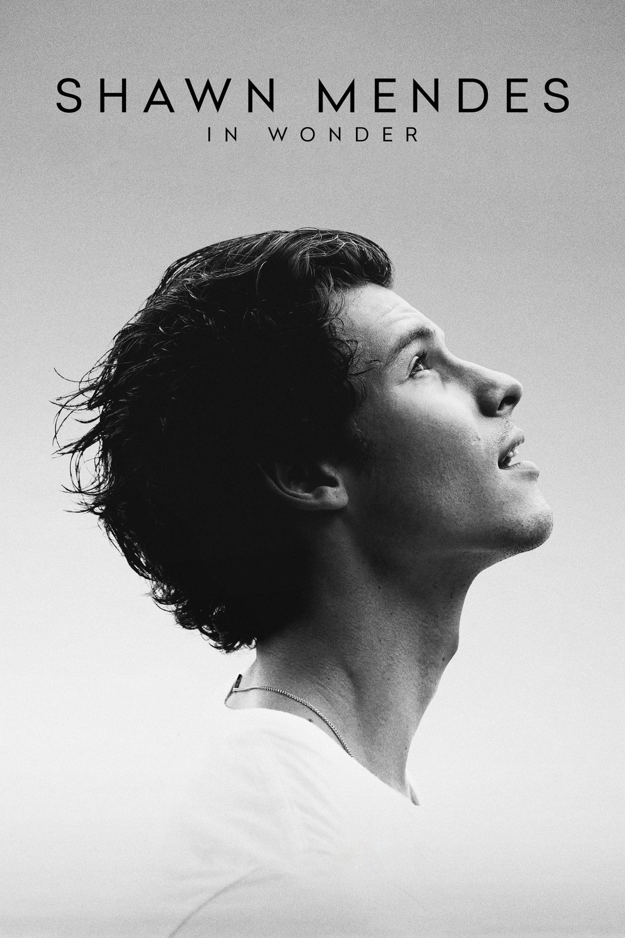 Pôster de Shawn Mendes: In Wonder